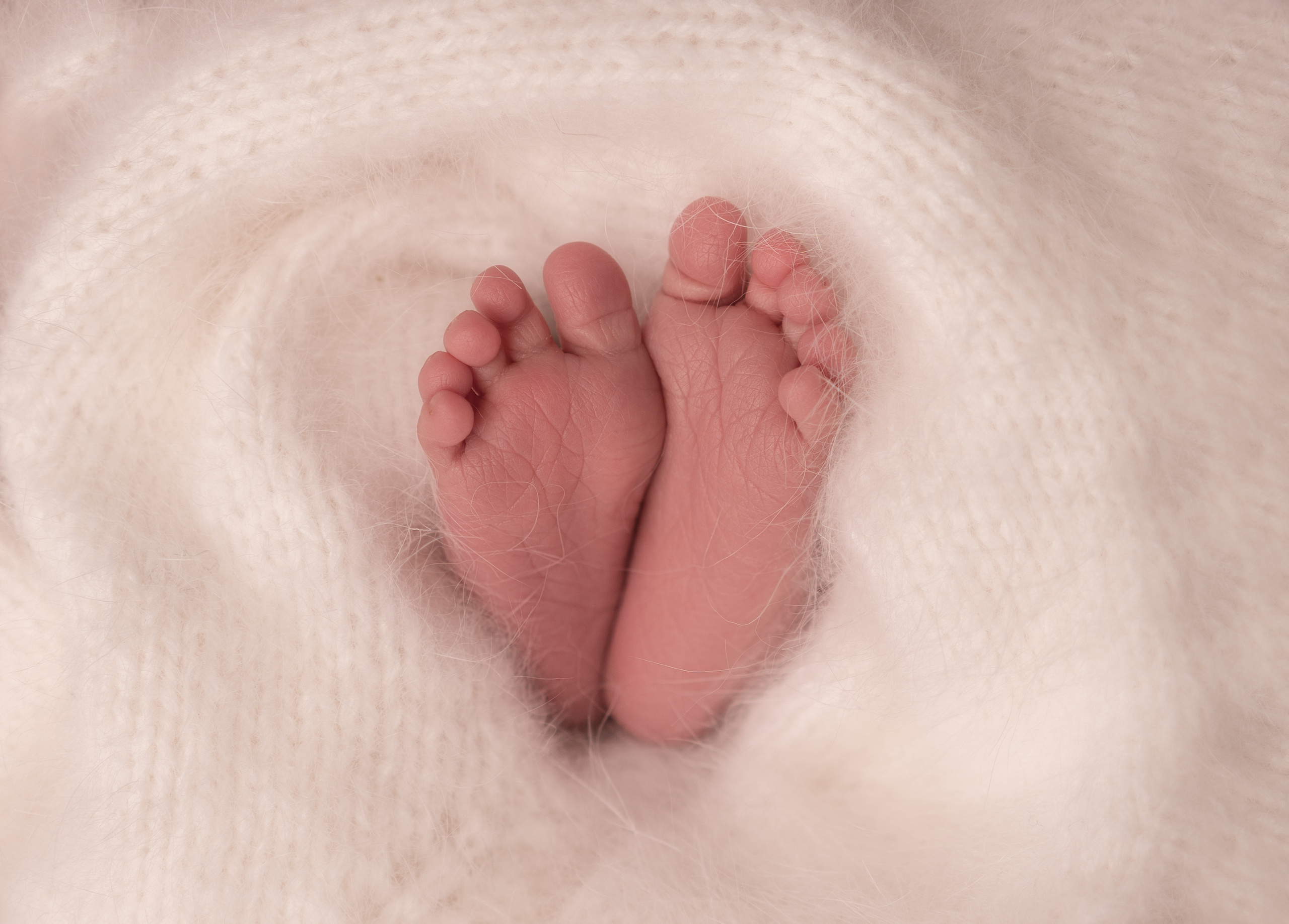 Макро кадры. Фотограф Александра Василькова