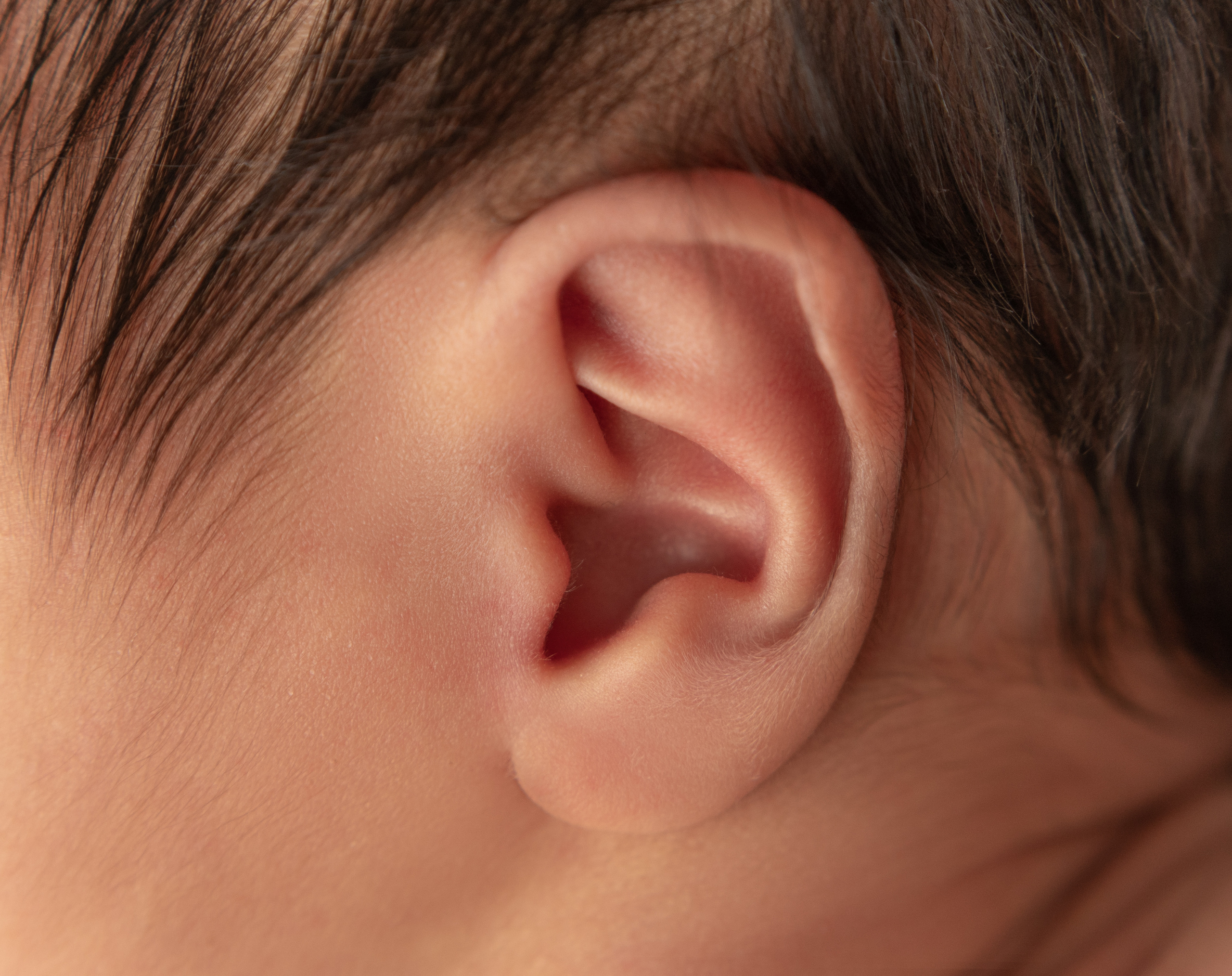 Услуги. Фотограф Александра Василькова