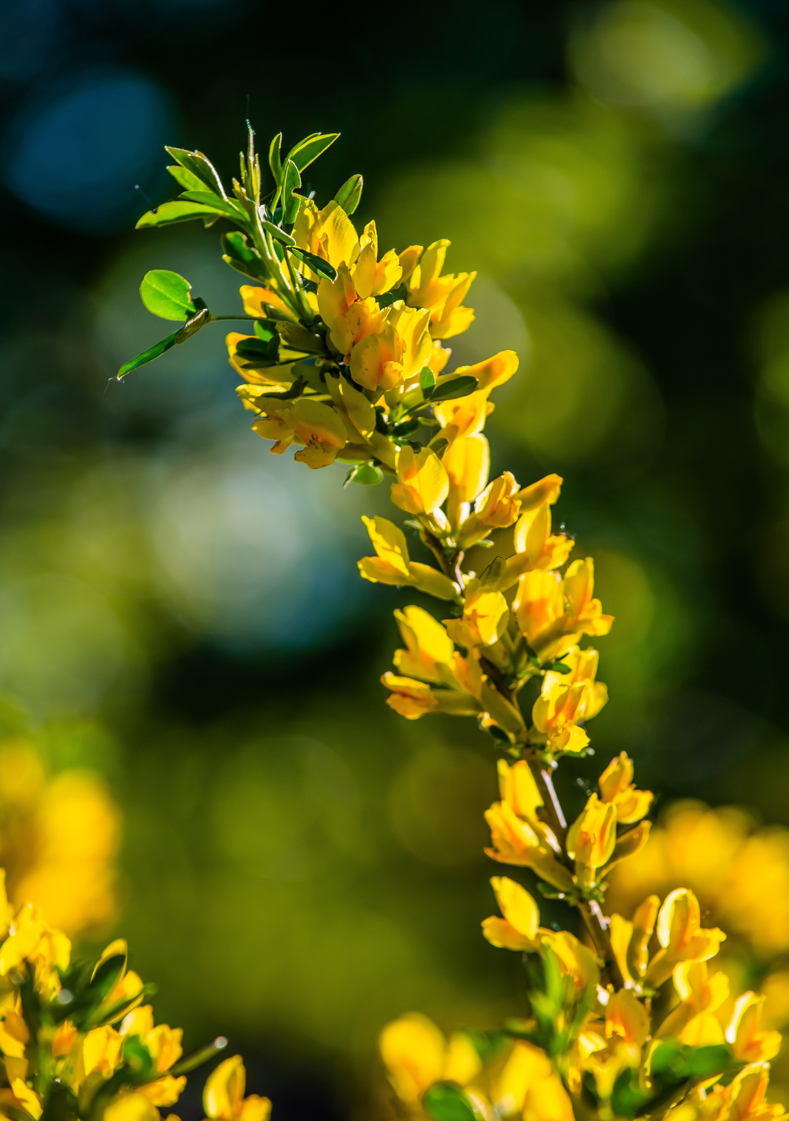 Макро. Авторские туры с профессиональным фотографом