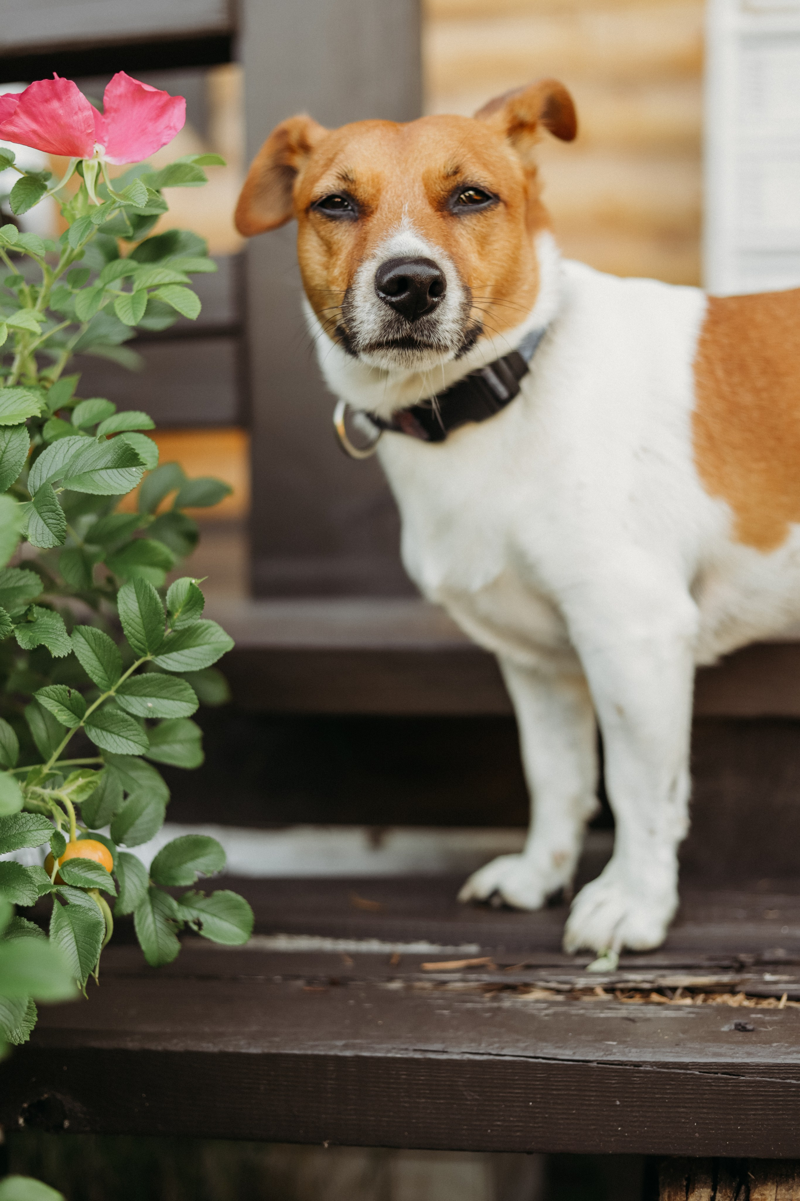 Мария, Максим и малышка. Фотограф Москва и Санкт-Петербург