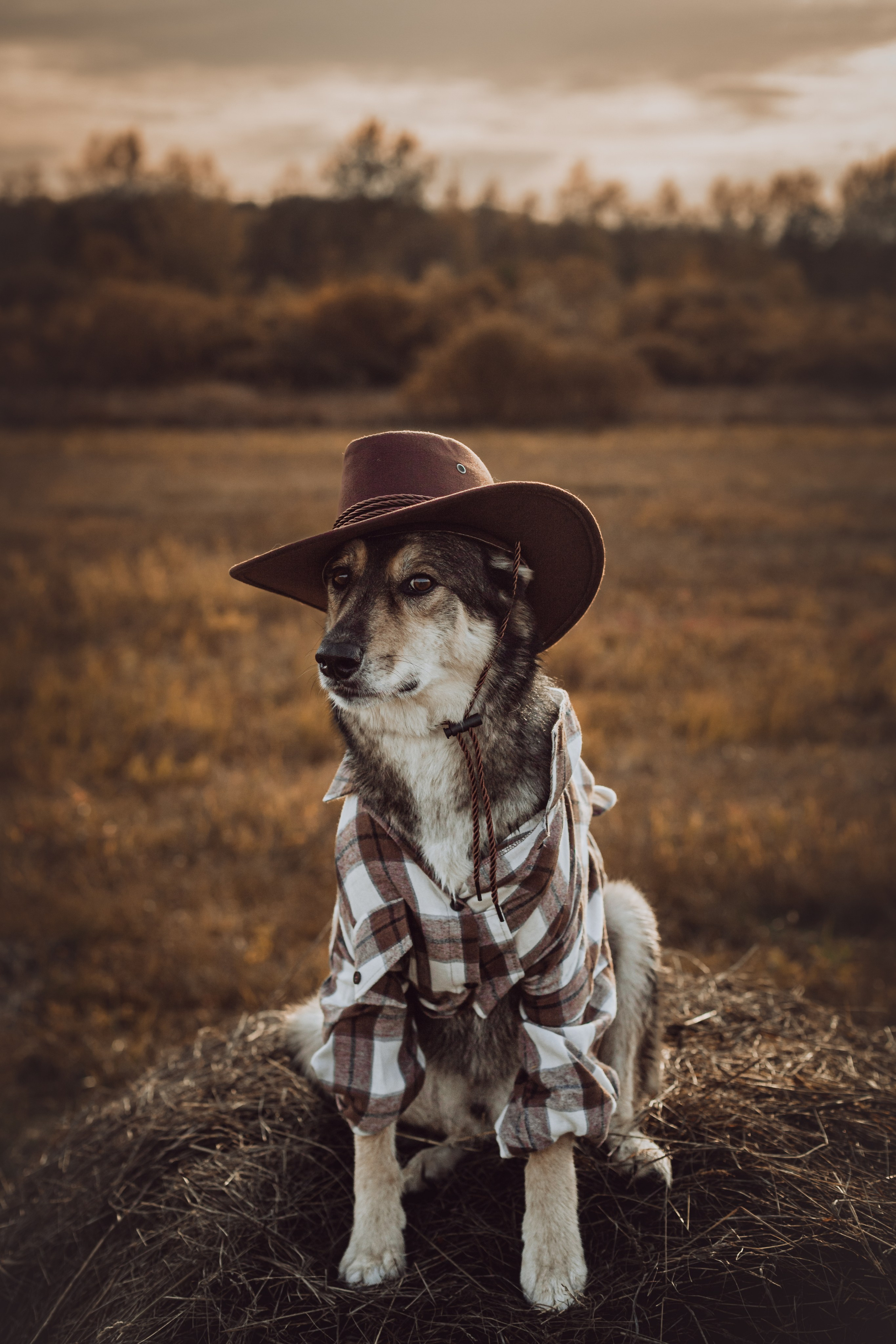 Кантри Дюк. Фотограф-анималист Татьяна Степанова