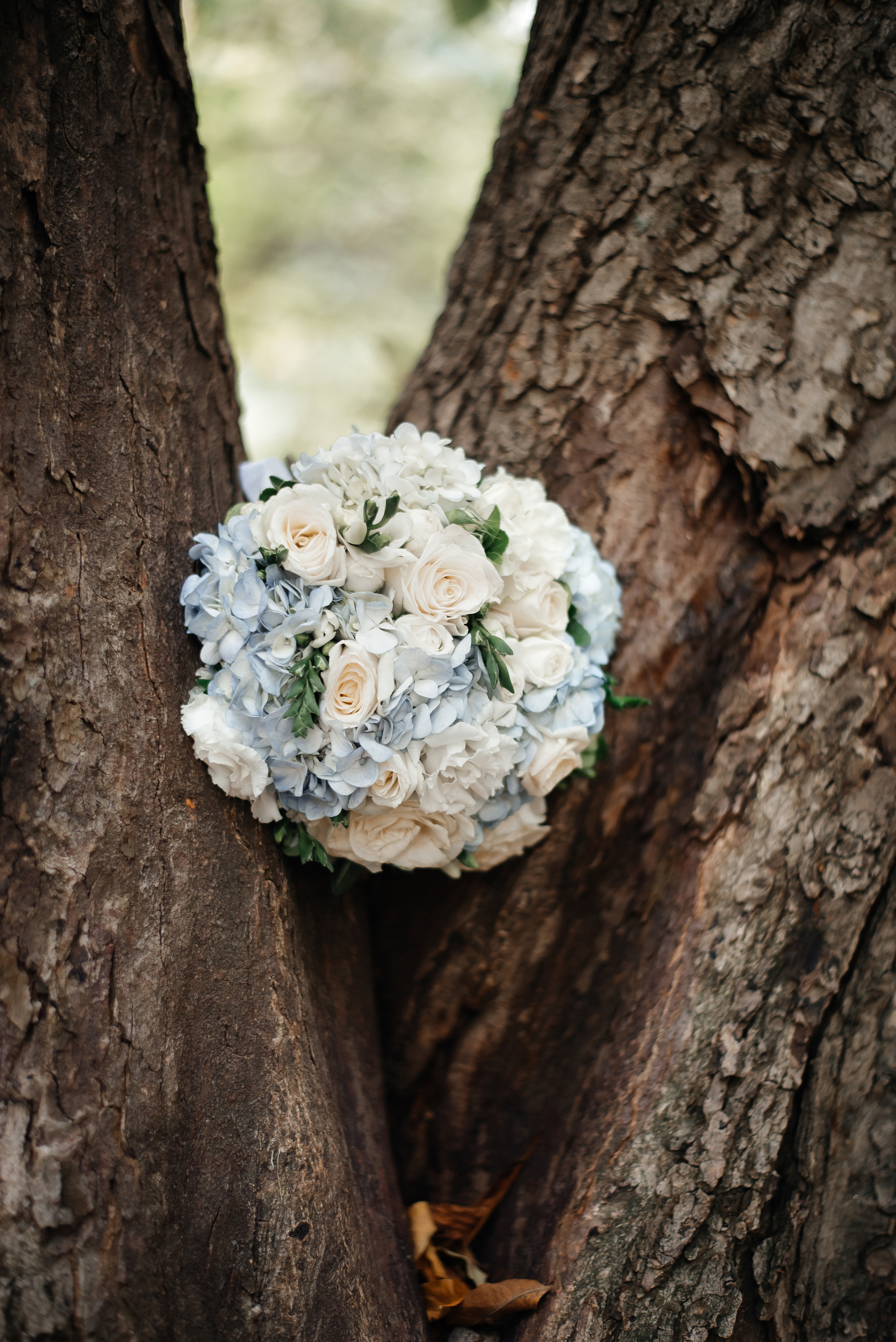 Денис и Яна. Свадебные фотограф и видеограф в Саратове