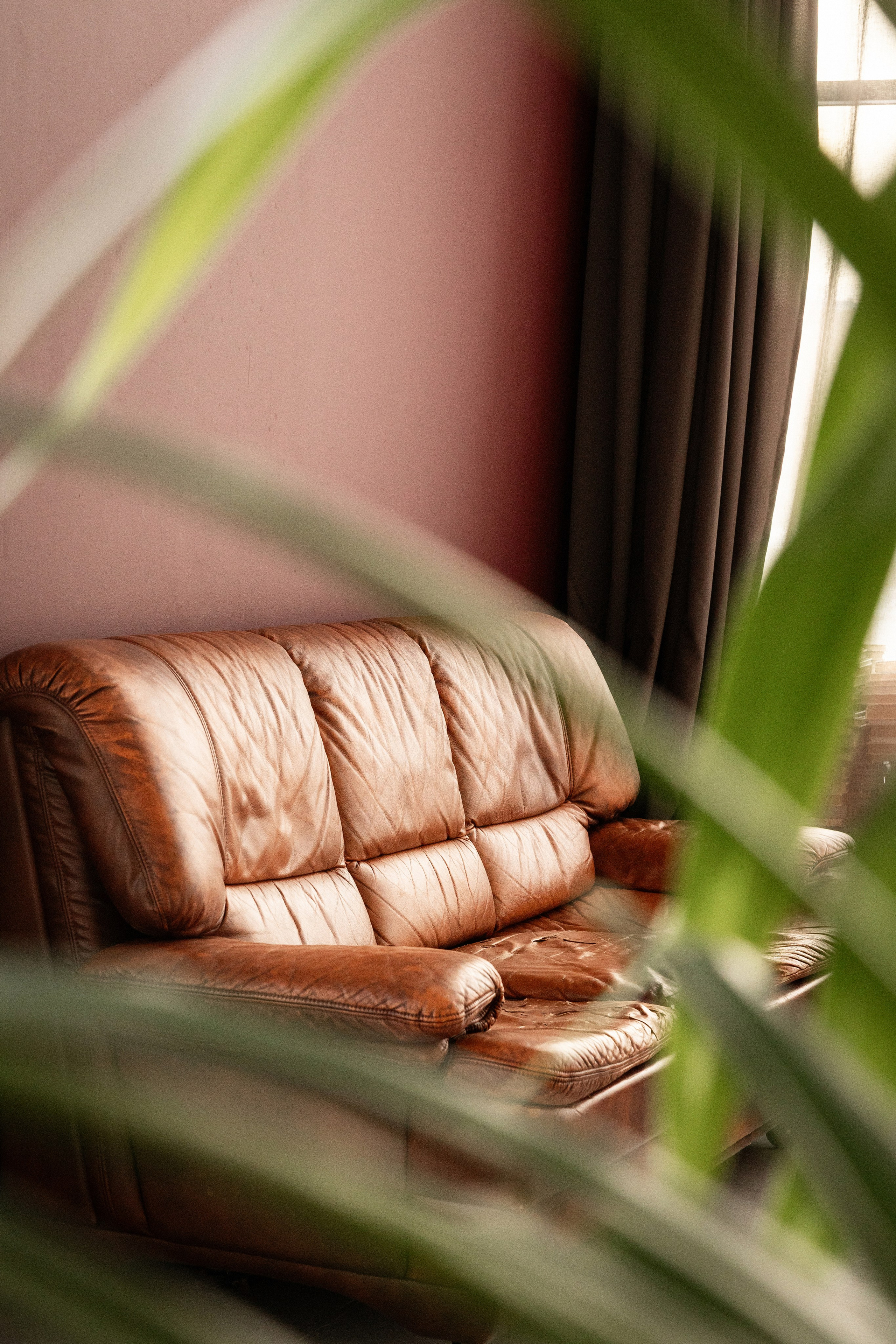 Фотостудия Питер в Сургуте для семейных и индивидуальных фотосессий