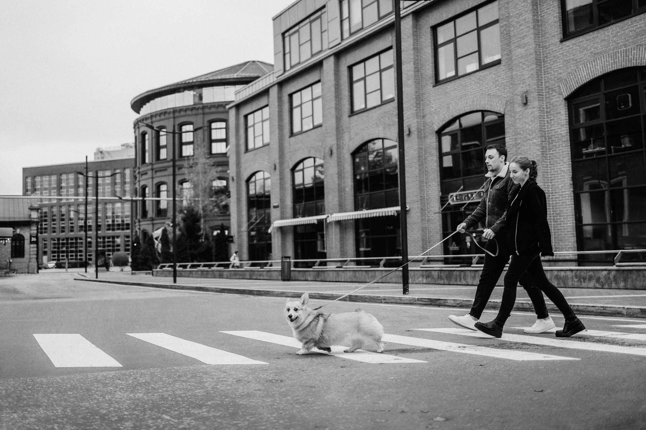 Вера, Саша и Муна. Фотограф-анималист Елена Радченко, Москва