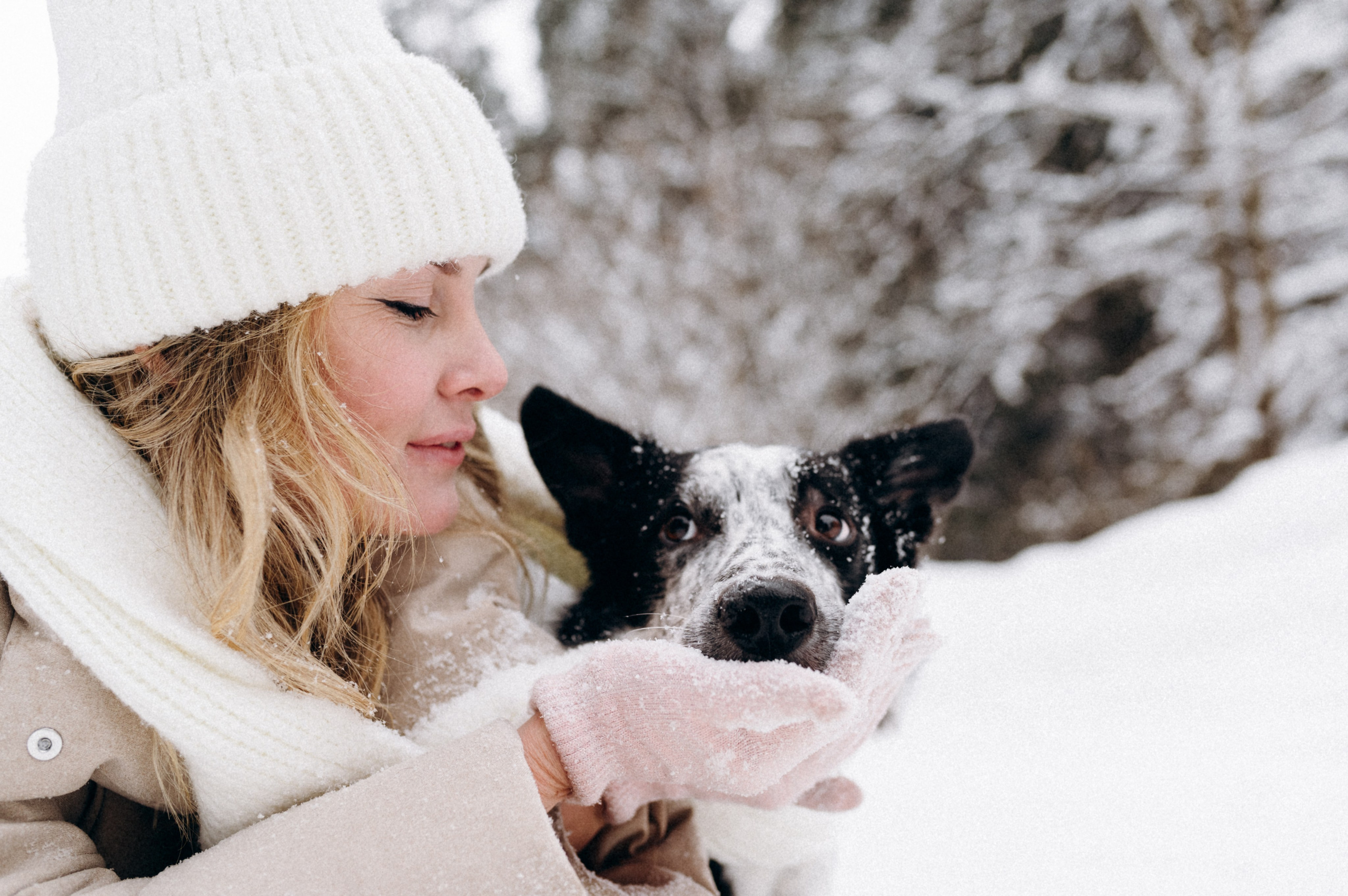 Аня и Милан. Фотограф анималист в Москве Ольга Агушева