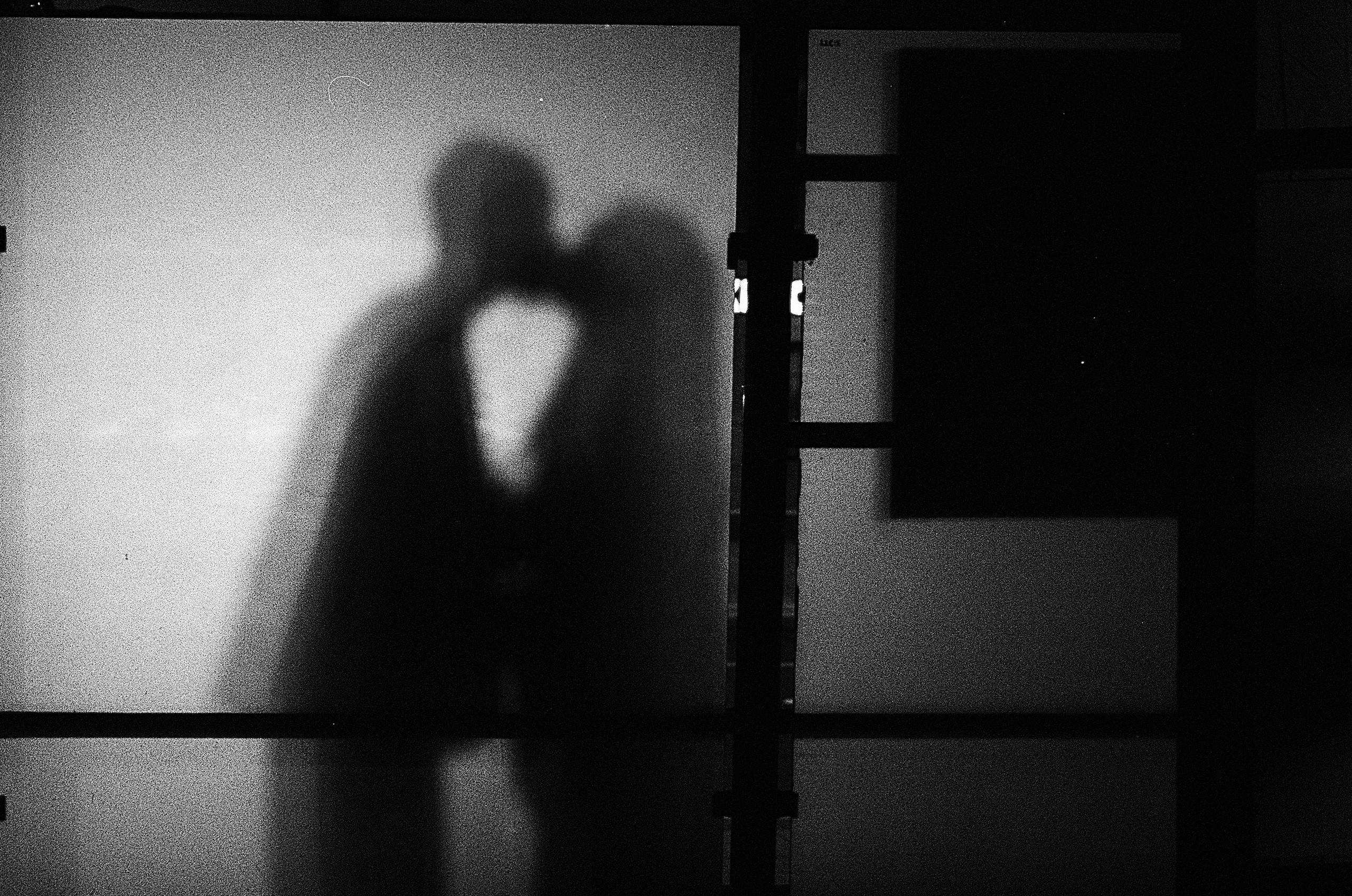 Алиса и Виталий, роспись в МФЦ