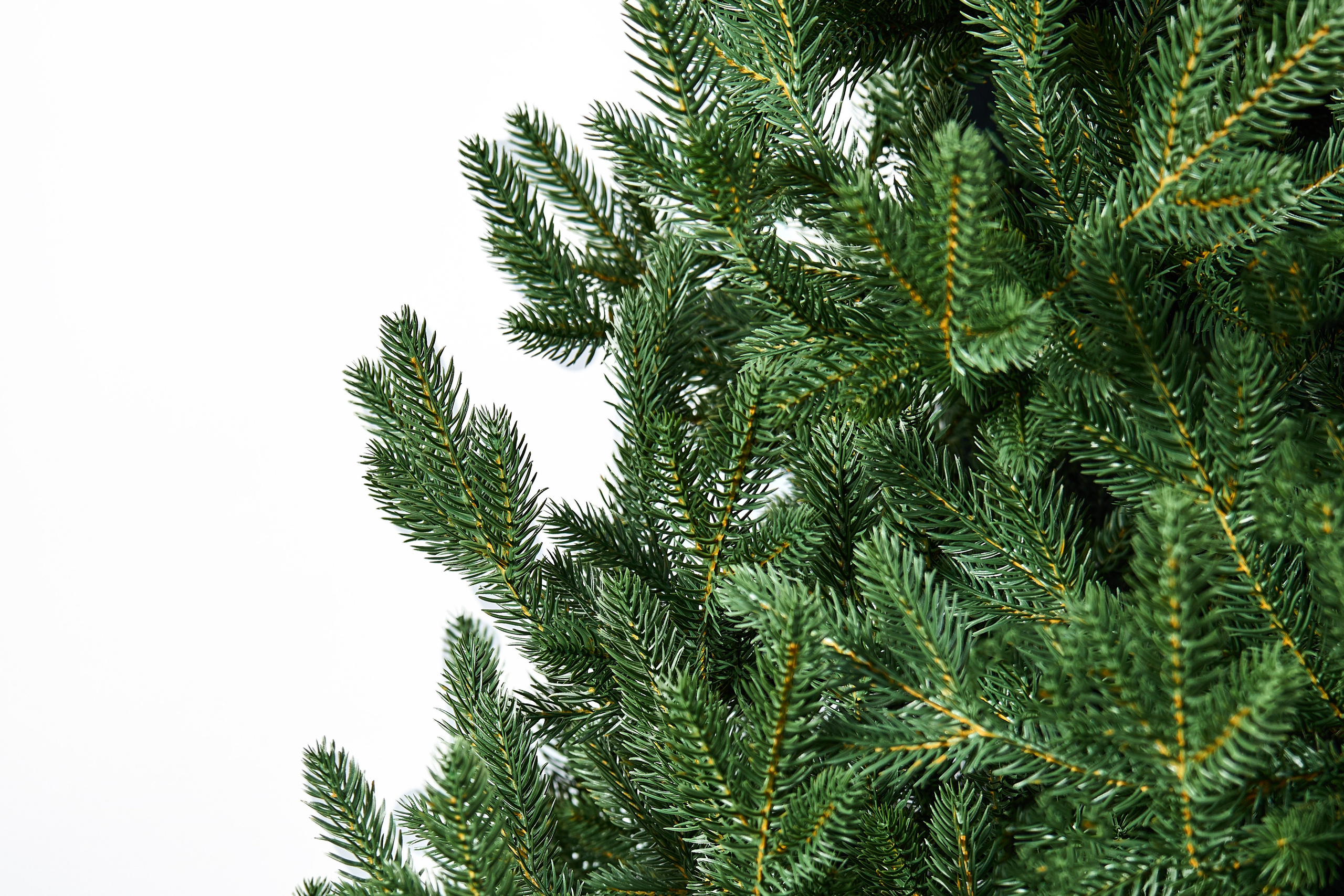 Искуственные ели и сосны. Выведите свои товары на новый уровень с профессиональной предметной фотографией. Предметный фотограф Юлия Кравченко