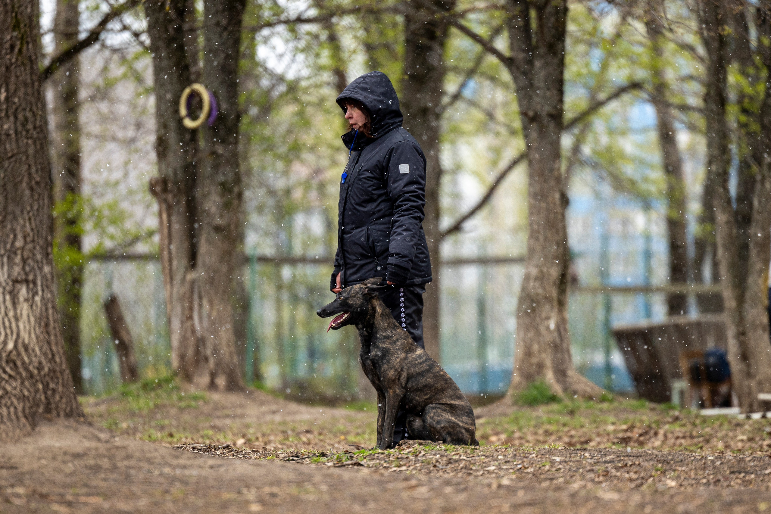 Квалификационные состязания по мондьорингу г. Вологда 11.05.24. Фотограф-анималист Анна Маринич