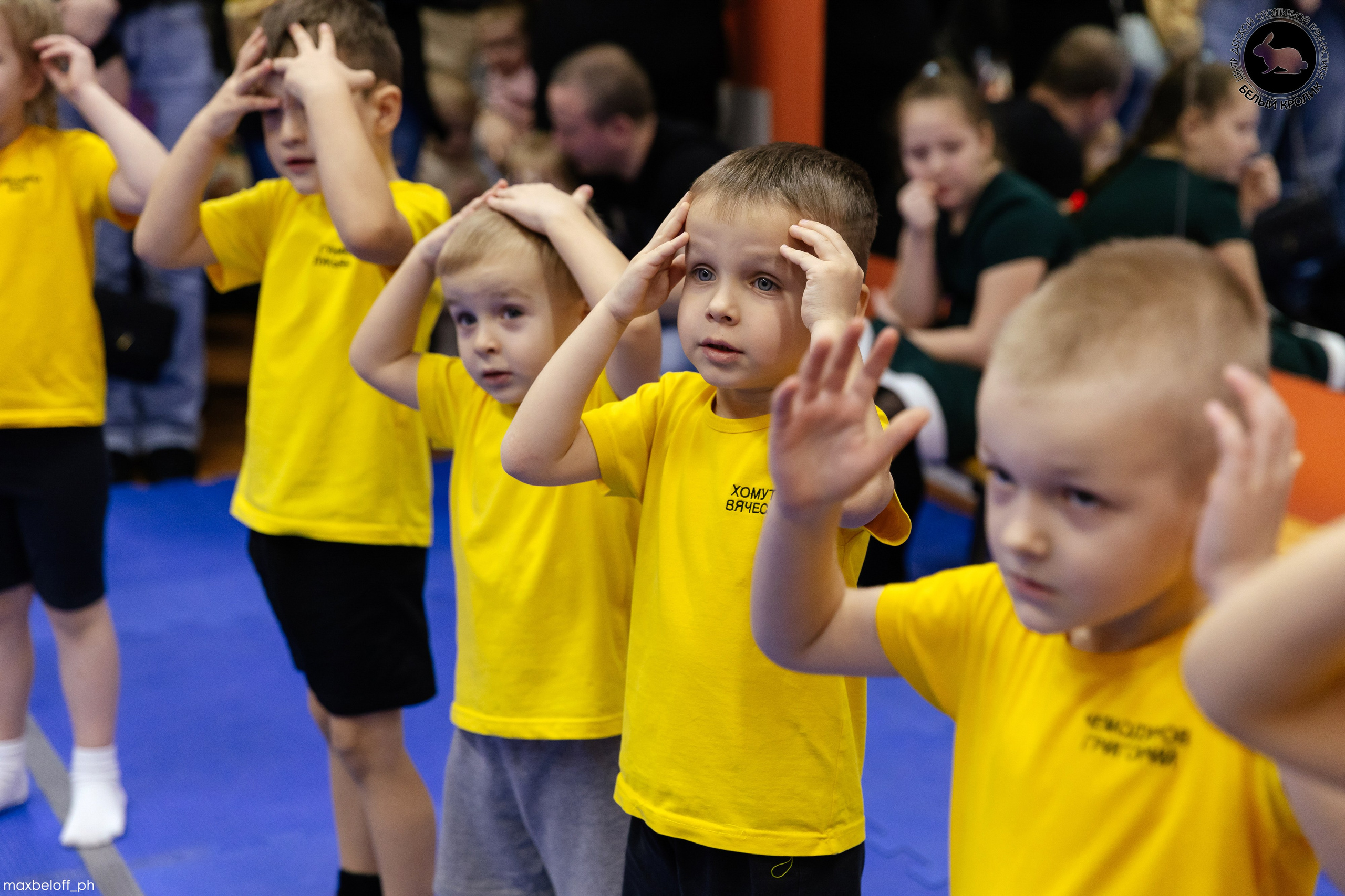 Белый кролик. Соревнования. Семейный фотограф — Макс Белогрудов