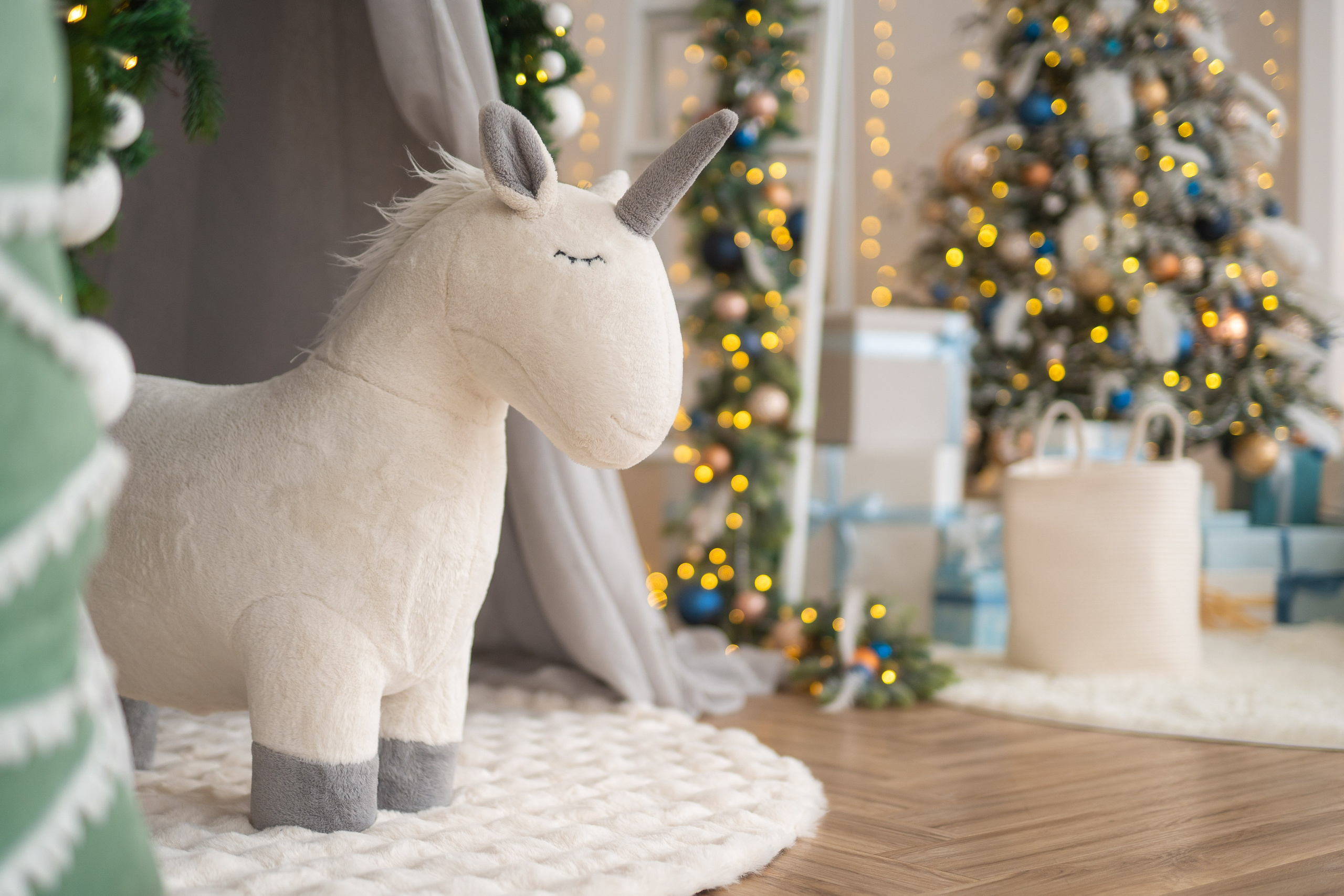 Зал Белый. Фотограф г. Хабаровск. Семейные и индивидуальные съёмки