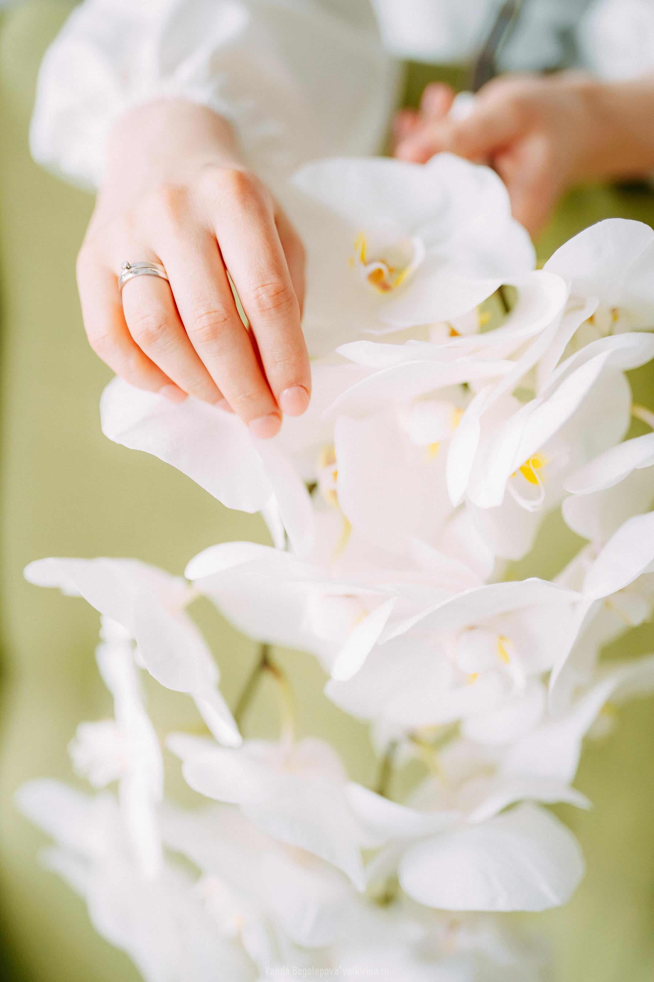 🌿Wedding Day🌿 Ольга и Владимир 🌿. Фотосъемка, свадебная фотосъемка, Москва, Нижний Новгород