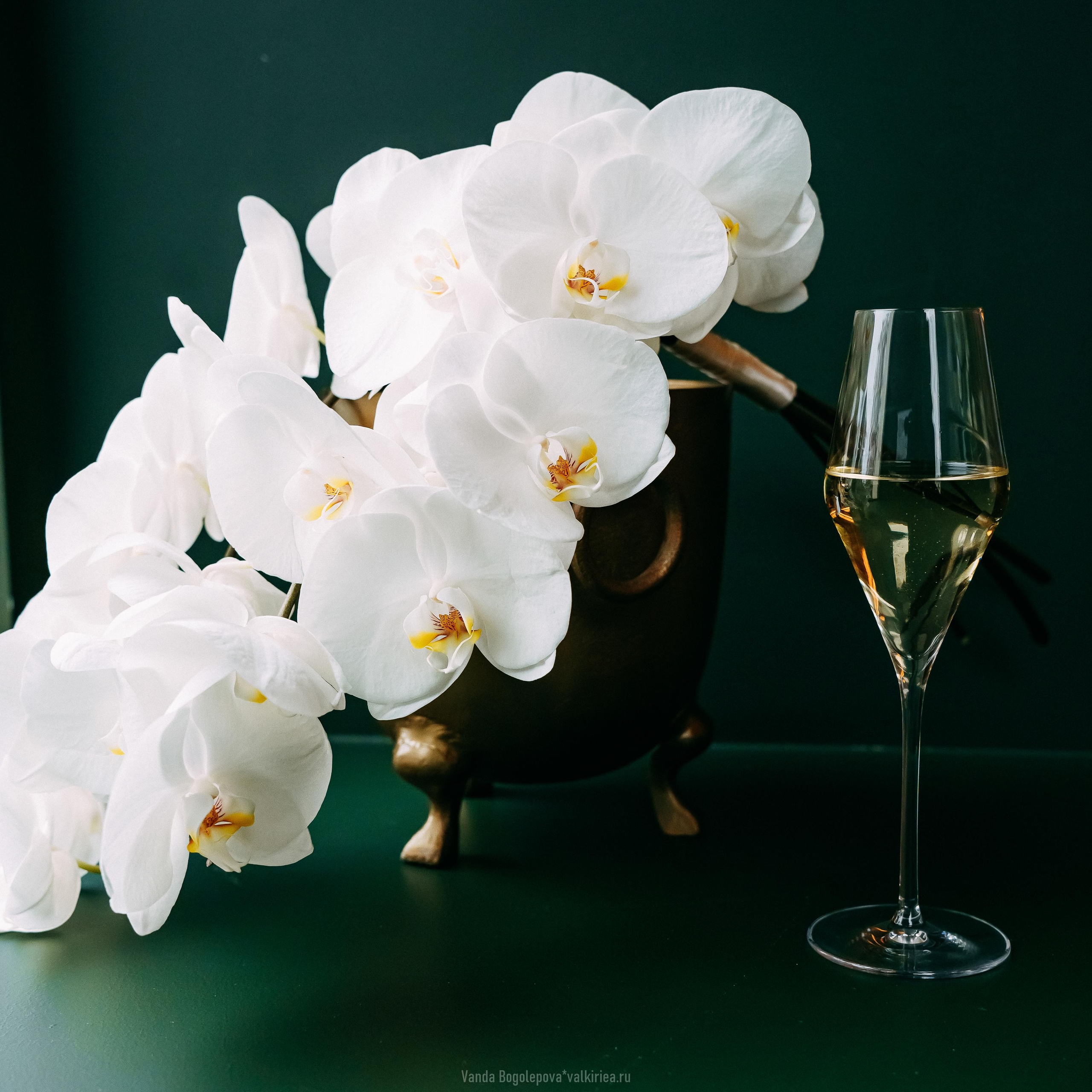 🌿Wedding Day🌿 Ольга и Владимир 🌿. Фотосъемка, свадебная фотосъемка, Москва, Нижний Новгород