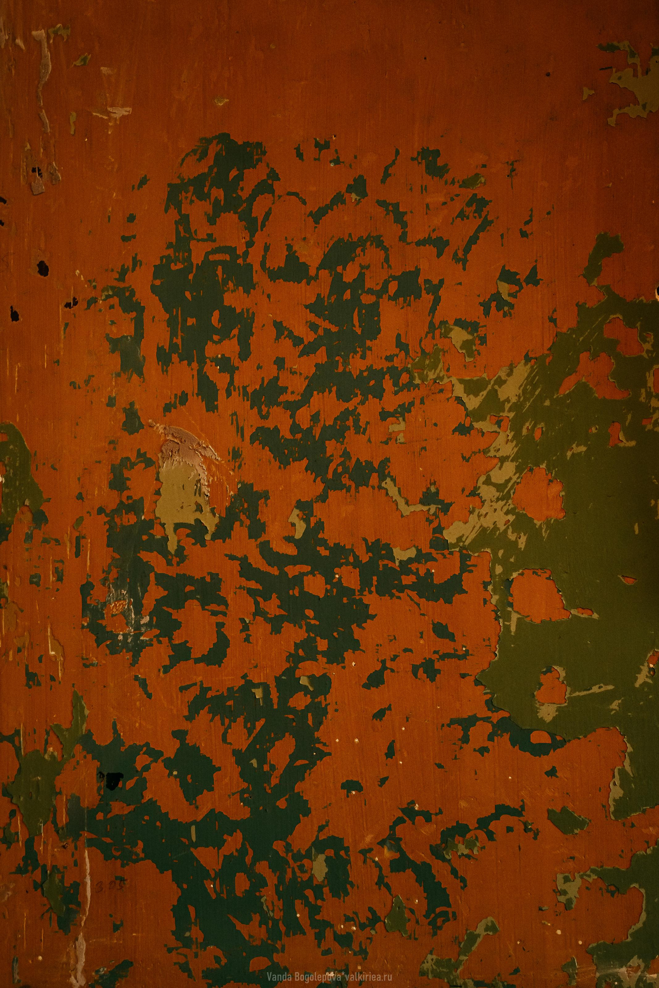 🌿Wedding Day🌿 Ольга и Владимир 🌿. Фотосъемка, свадебная фотосъемка, Москва, Нижний Новгород