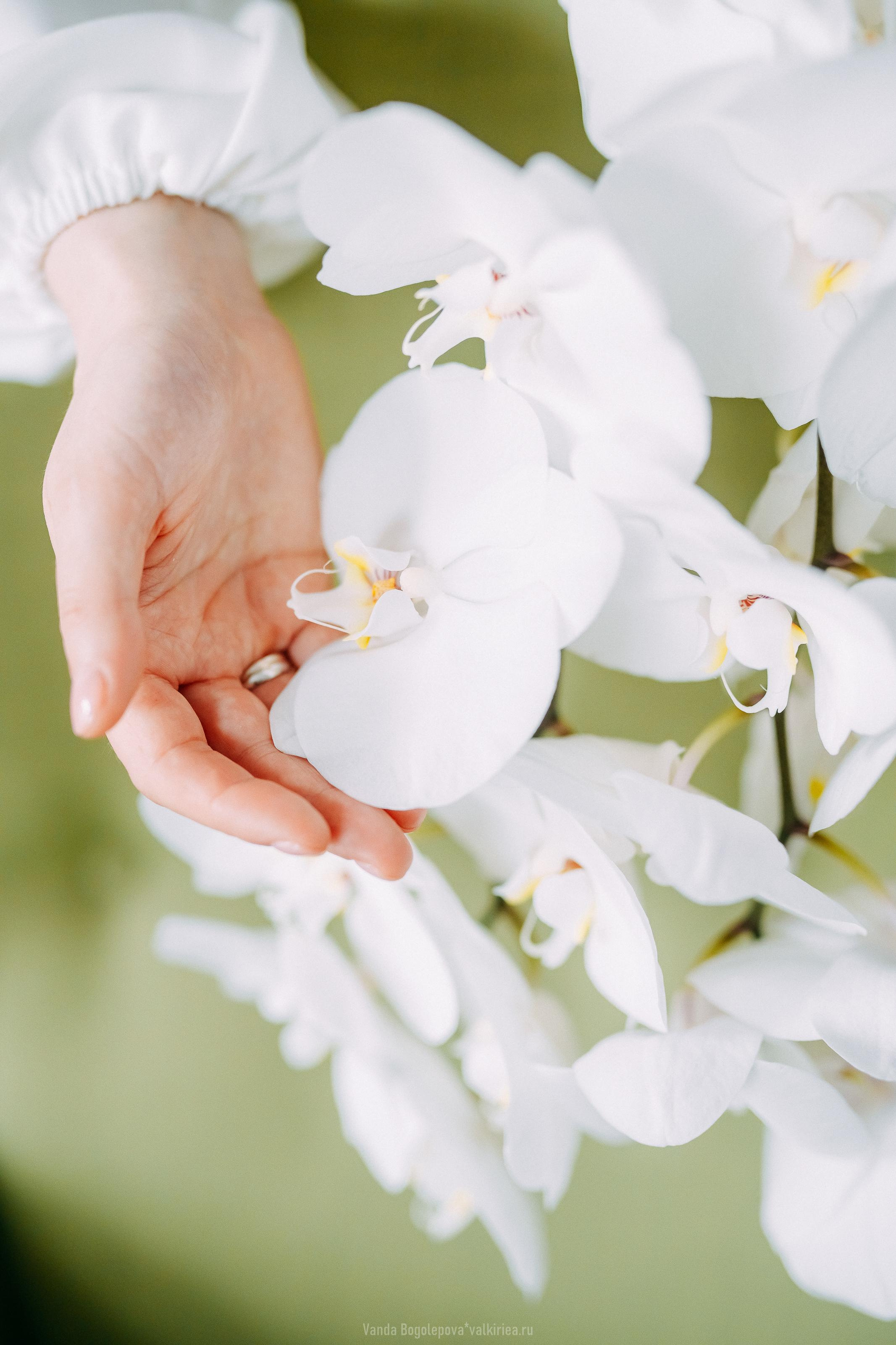 🌿Wedding Day🌿 Ольга и Владимир 🌿. Фотосъемка, свадебная фотосъемка, Москва, Нижний Новгород