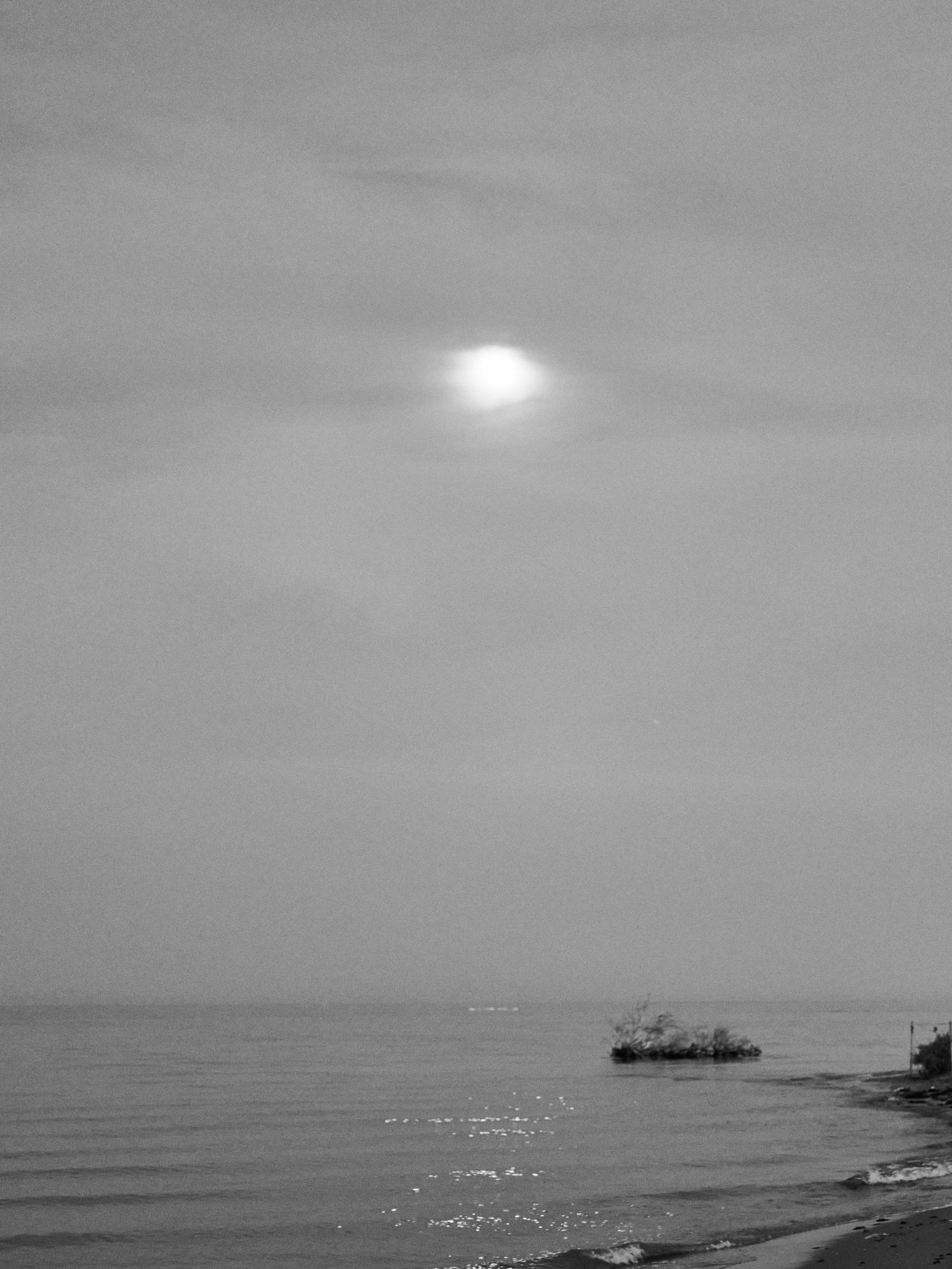 B&W. Jorgis — фотограф в Хургаде / обучение фотографии