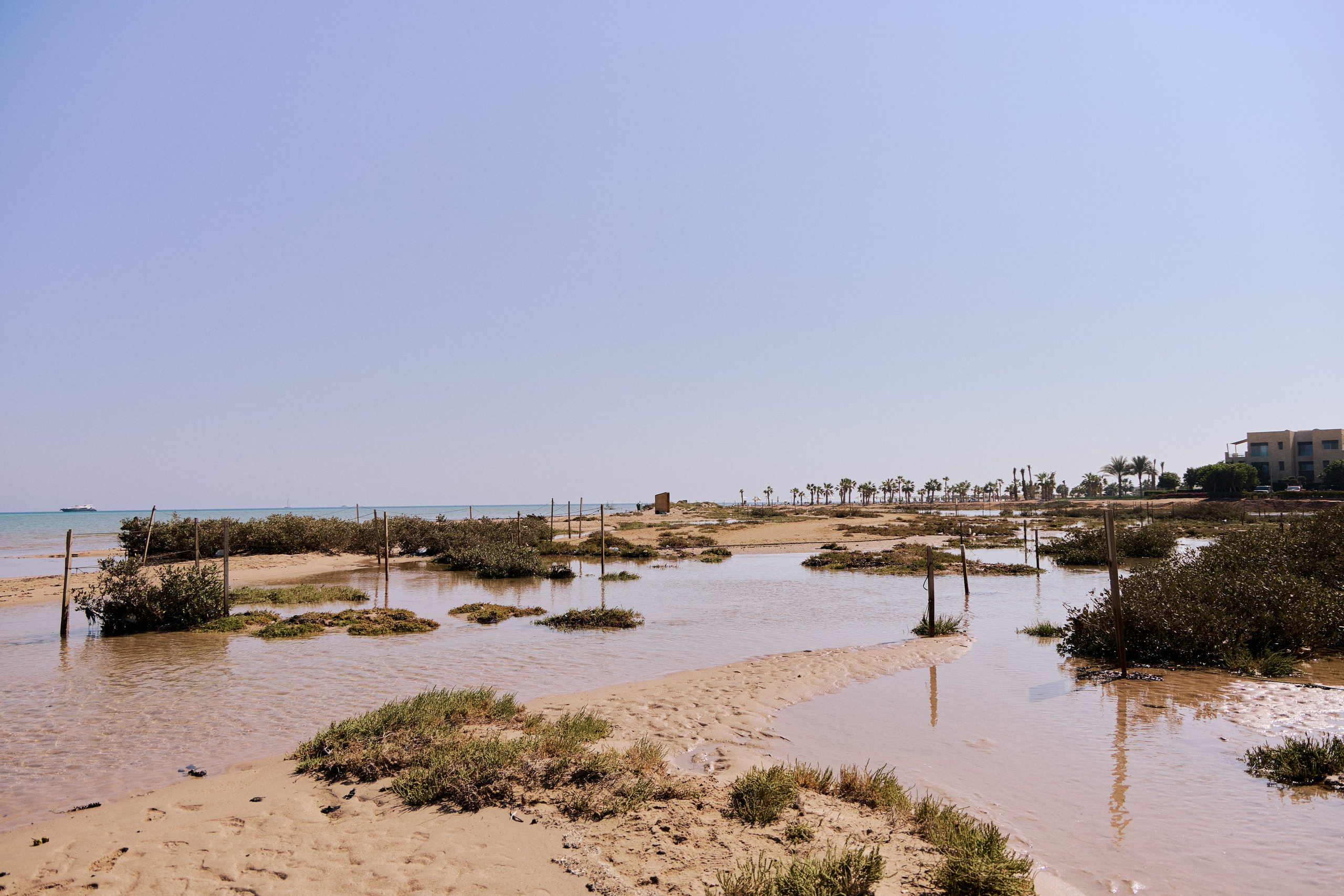 Другое 3. Jorgis — фотограф в Хургаде / обучение фотографии