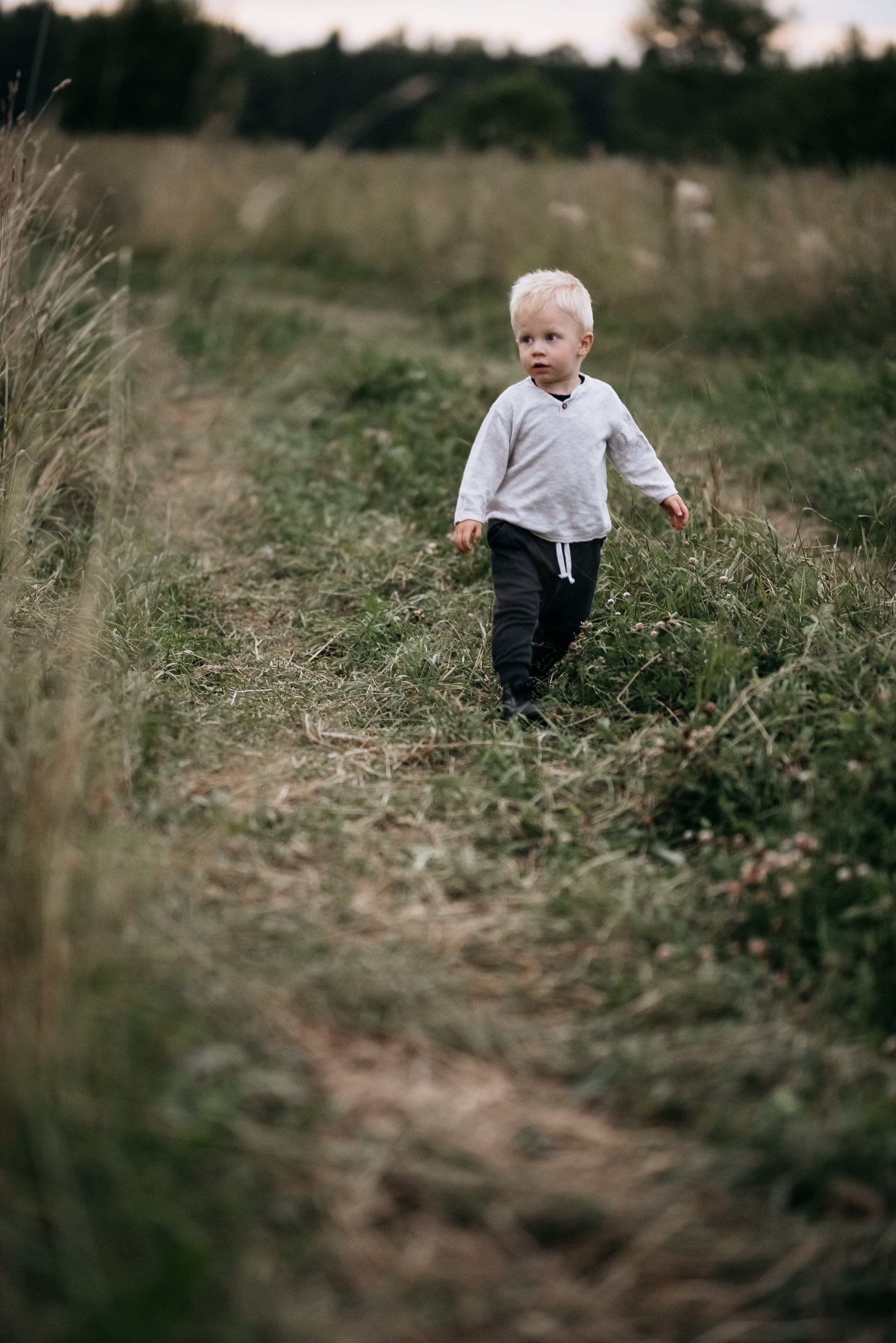 Поле. Семейный и женский фотограф Москва