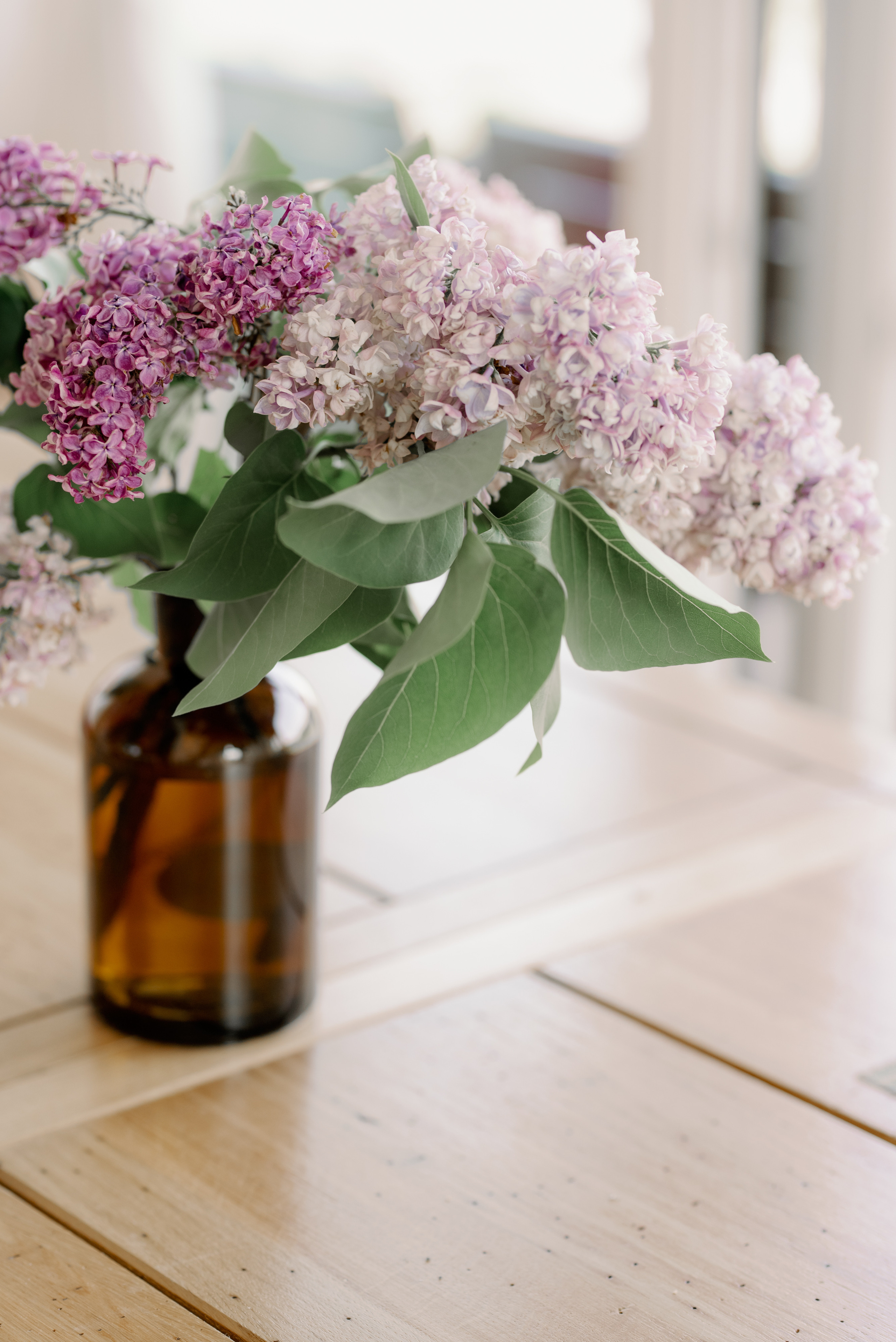 Дома. Семейный и женский фотограф Москва