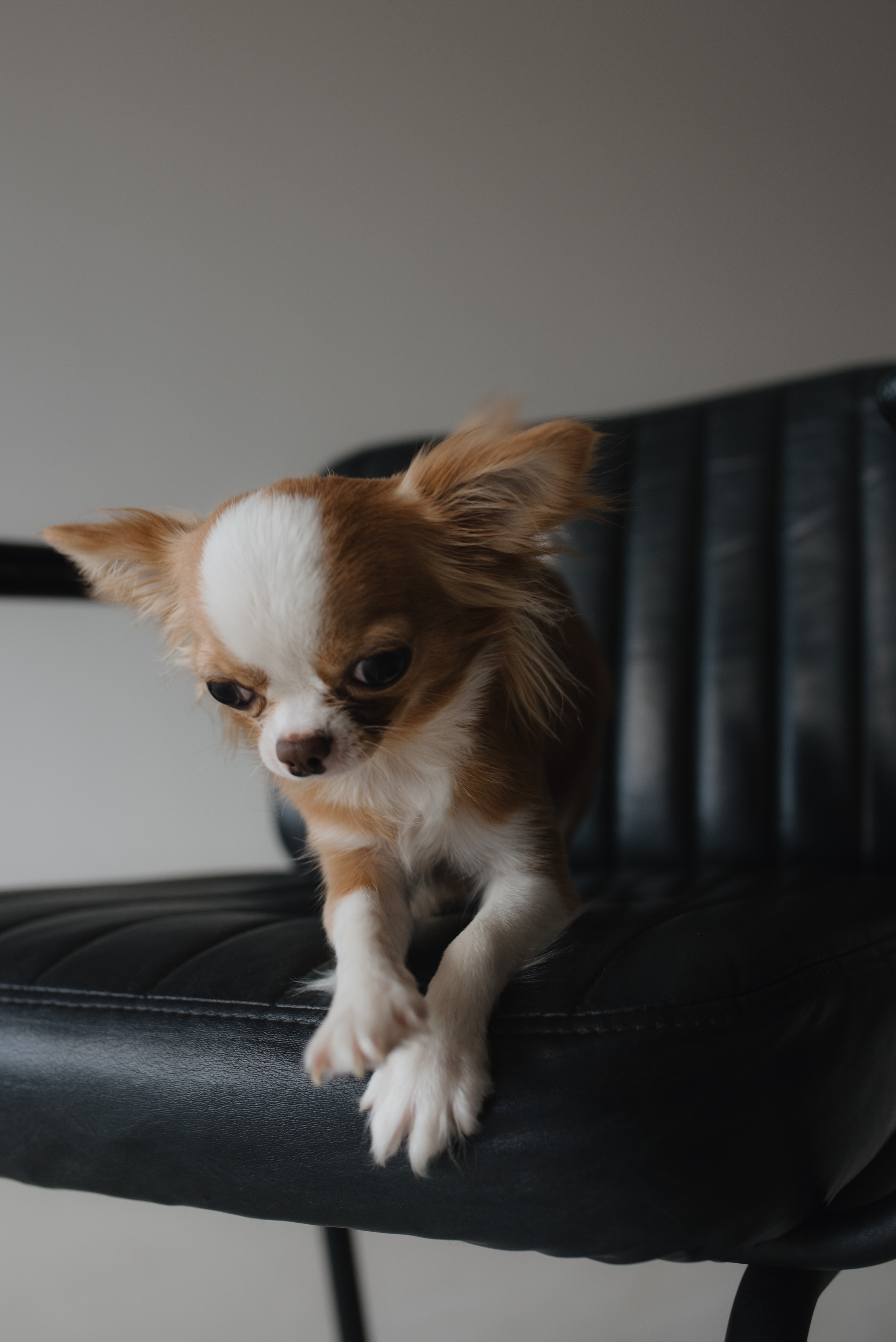 Мама и дочка. Семейный и женский фотограф Москва