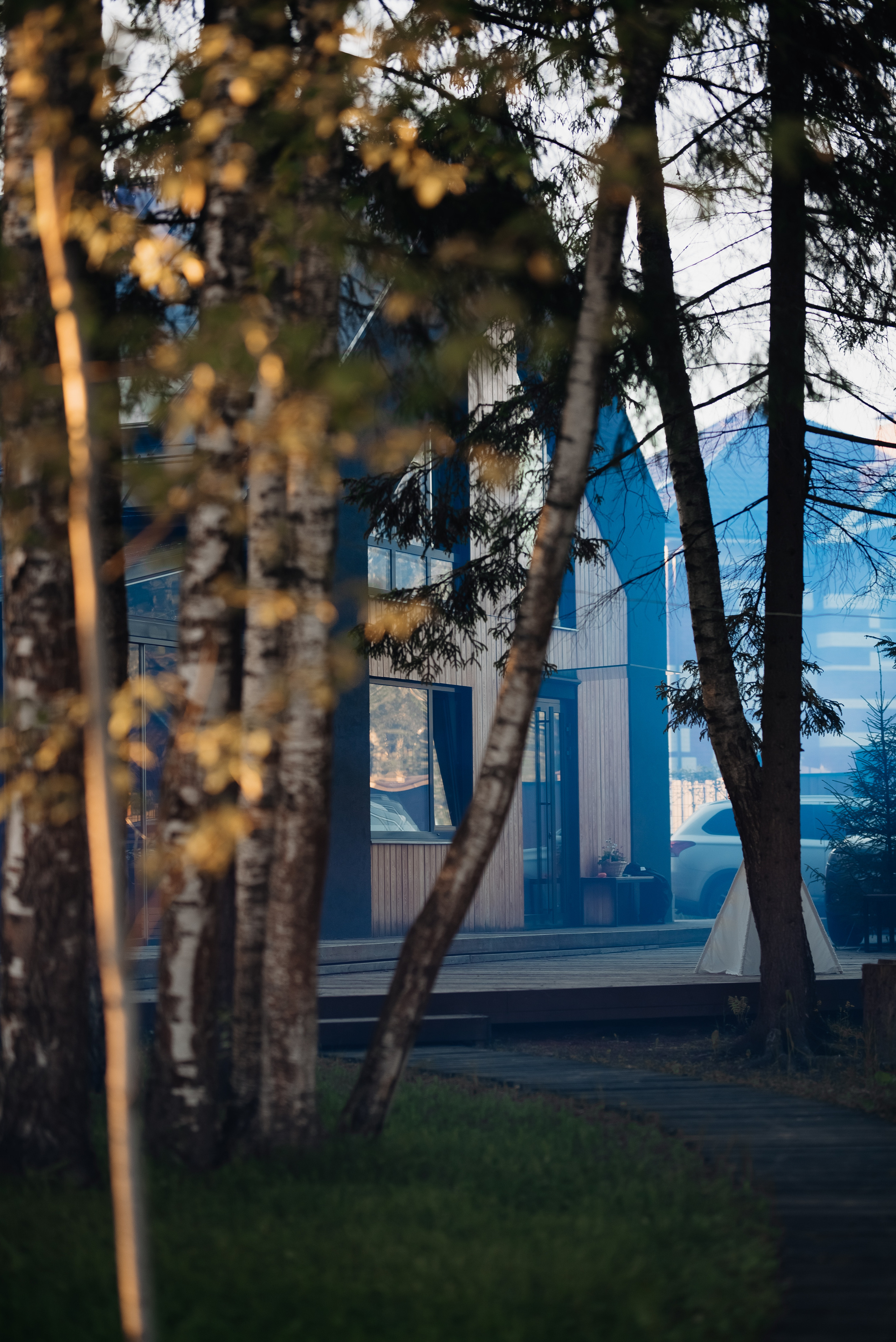 Гендерпати. Семейный и женский фотограф Москва