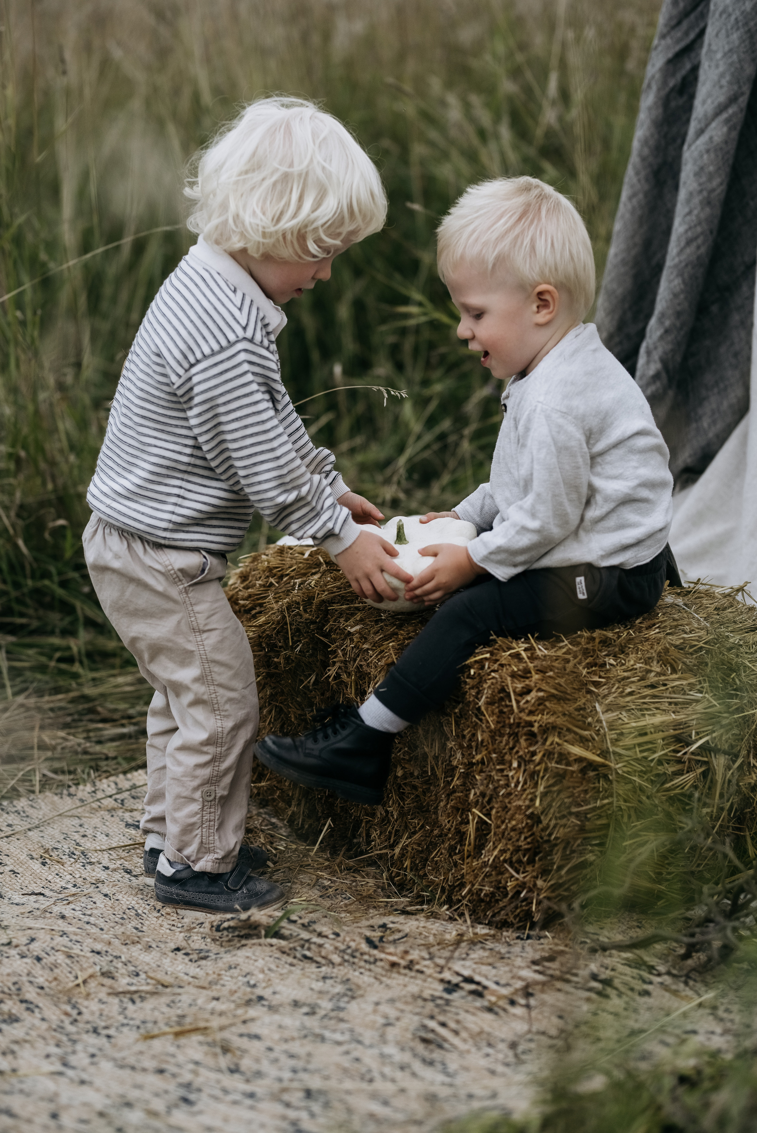 Поле. Семейный и женский фотограф Москва