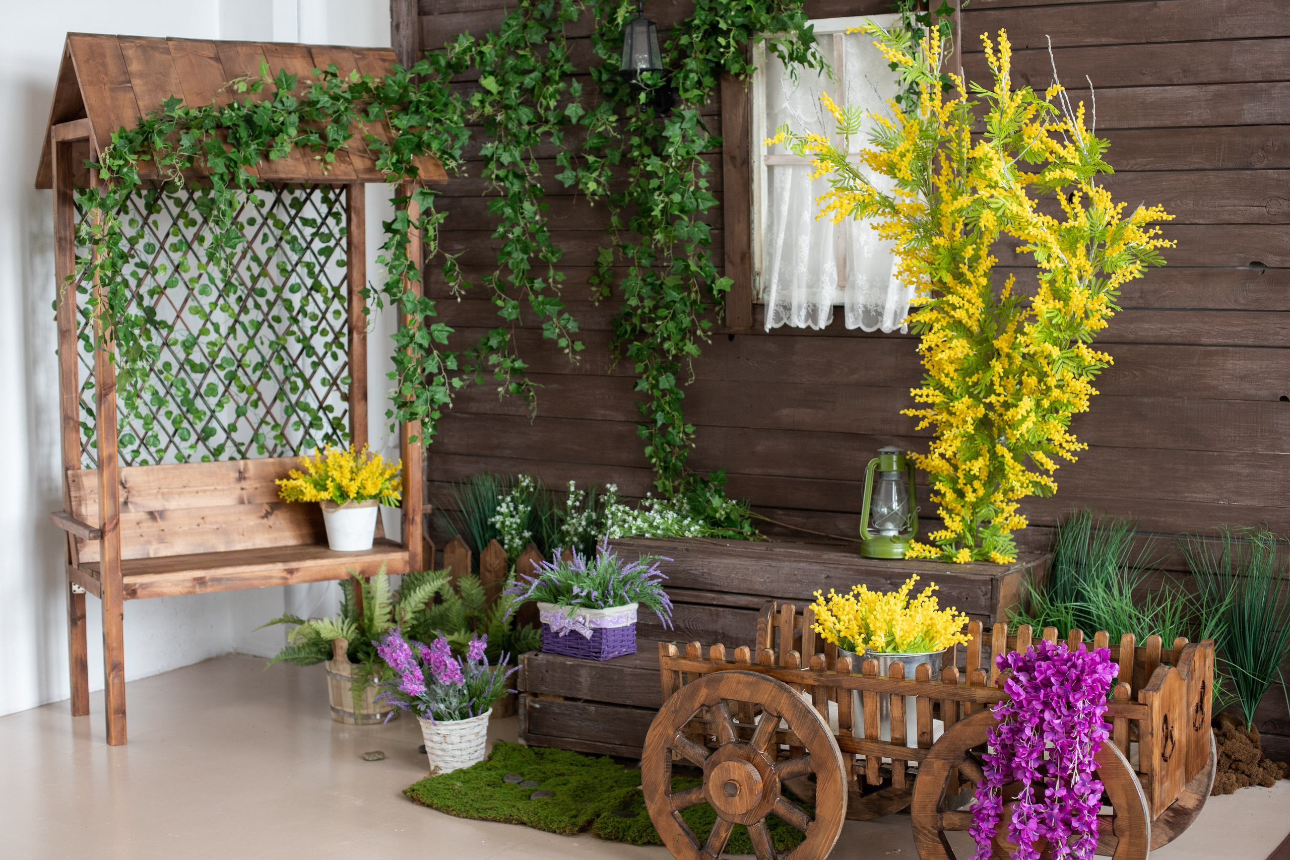 Буфет (студия Зеркало). Фотограф г. Хабаровск. Семейные и индивидуальные съёмки