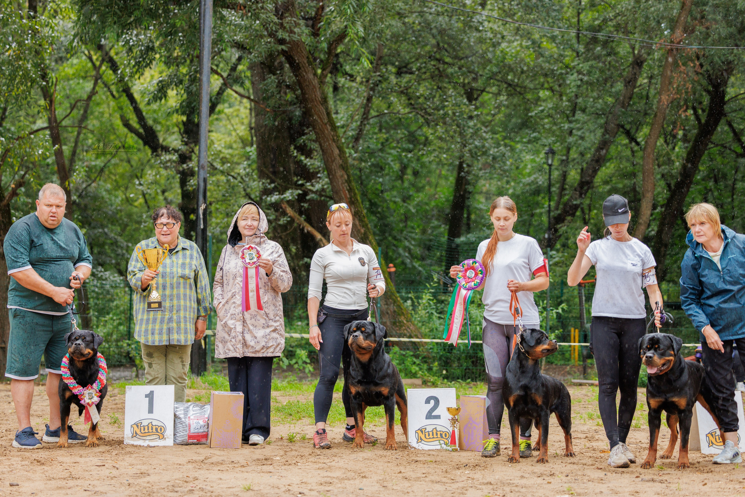 Рязань-Ховрино 10-11.08.2024 3хмоно ротвейлеров. Фотограф-анималист Юлия Германика