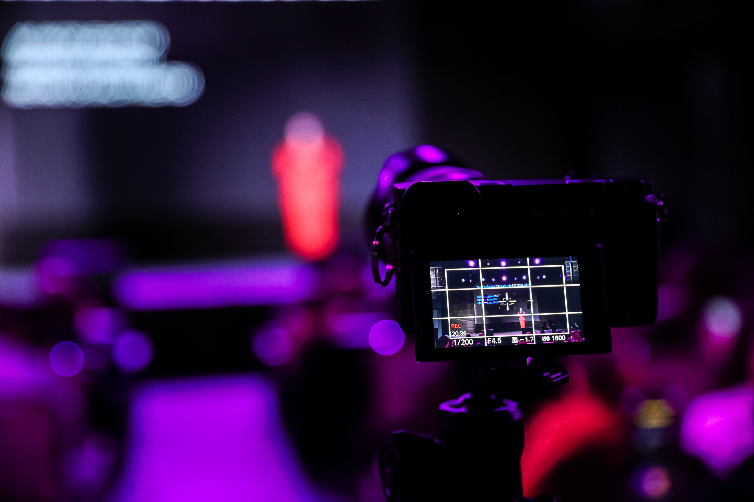 REELS CONTENT — НЕТВОРКИНГ. Photographer Viktoriya Markushina «My world throug»