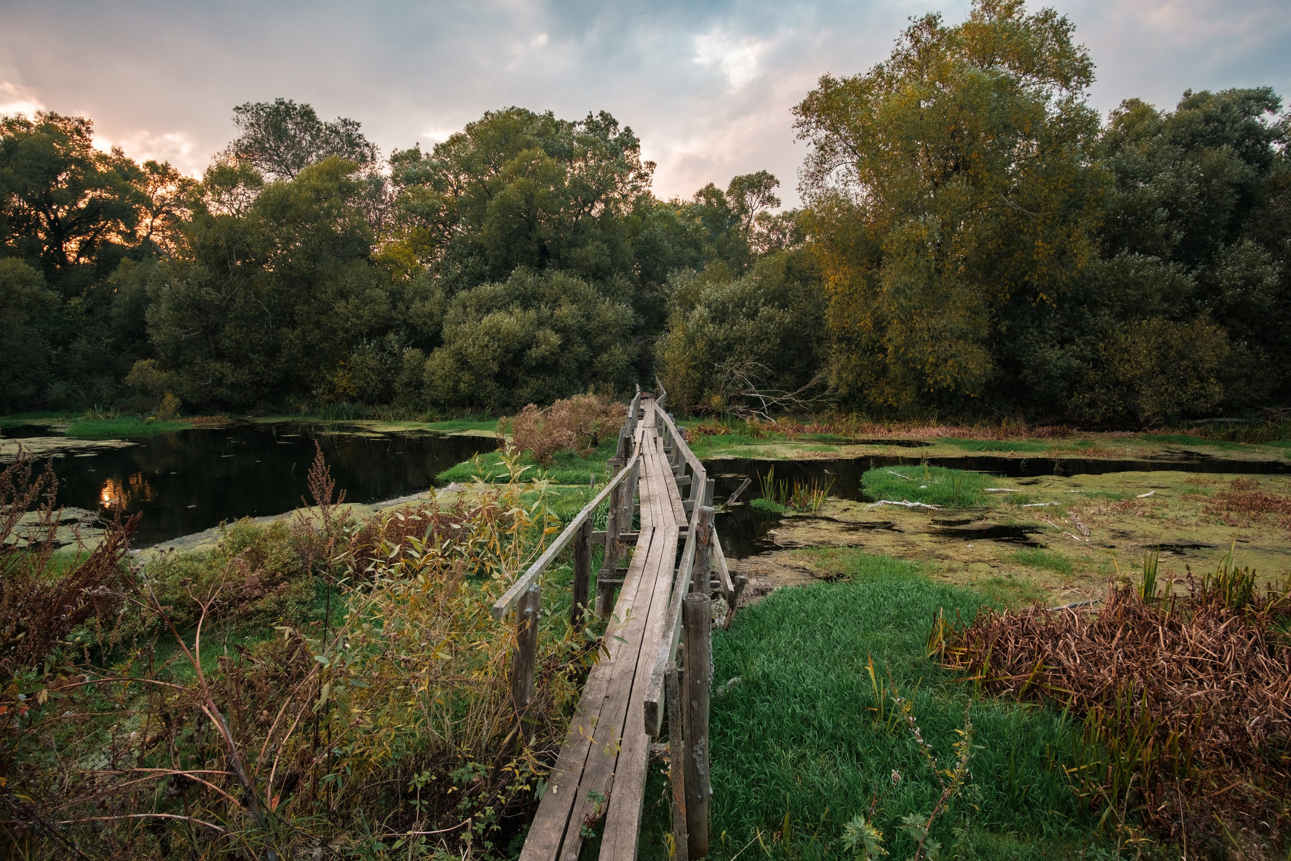 Нарышкино. Фотограф и видеооператор в Туле | Даниил Рыбак