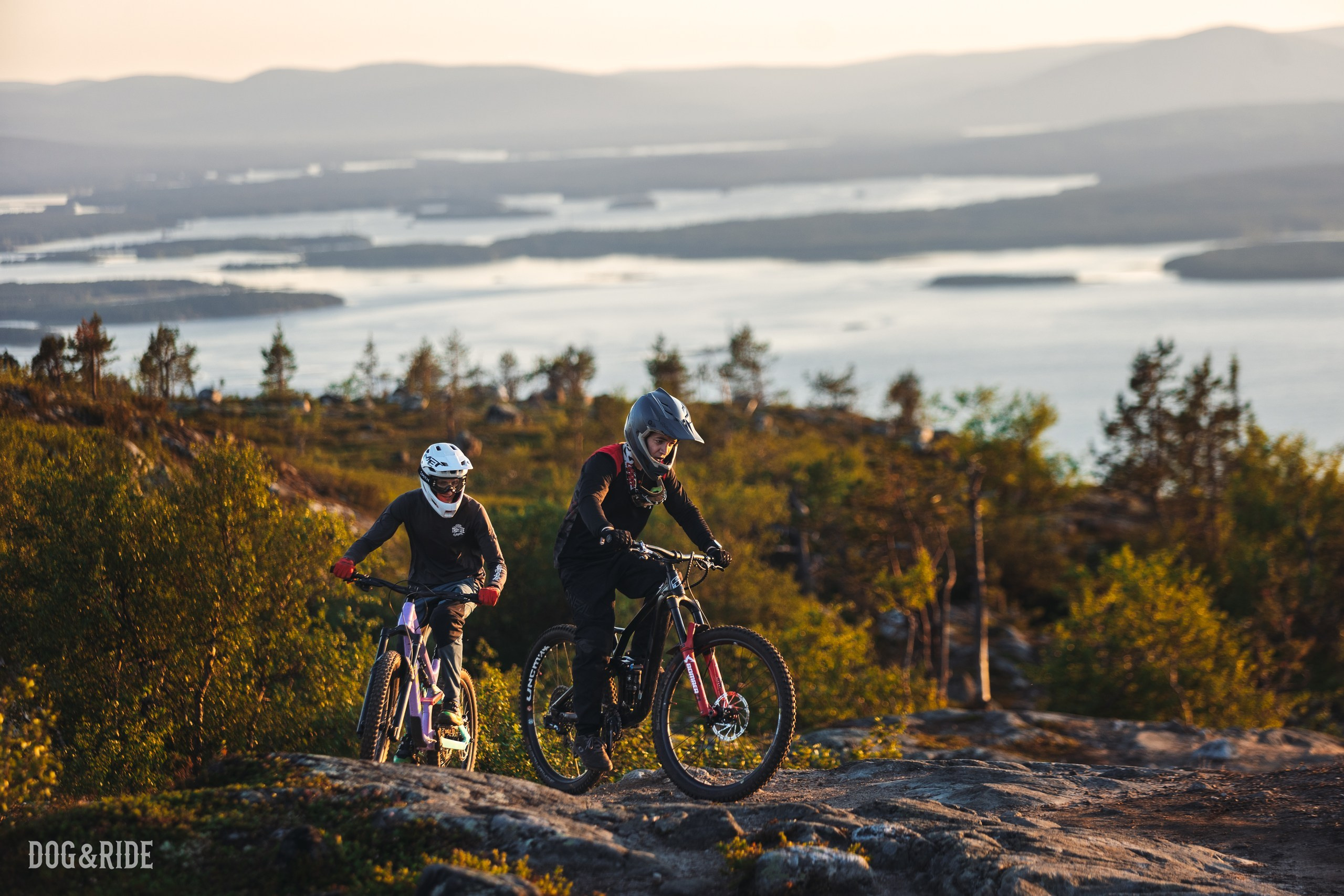Кандалакшка. Фотограф анималист Никита Натальный