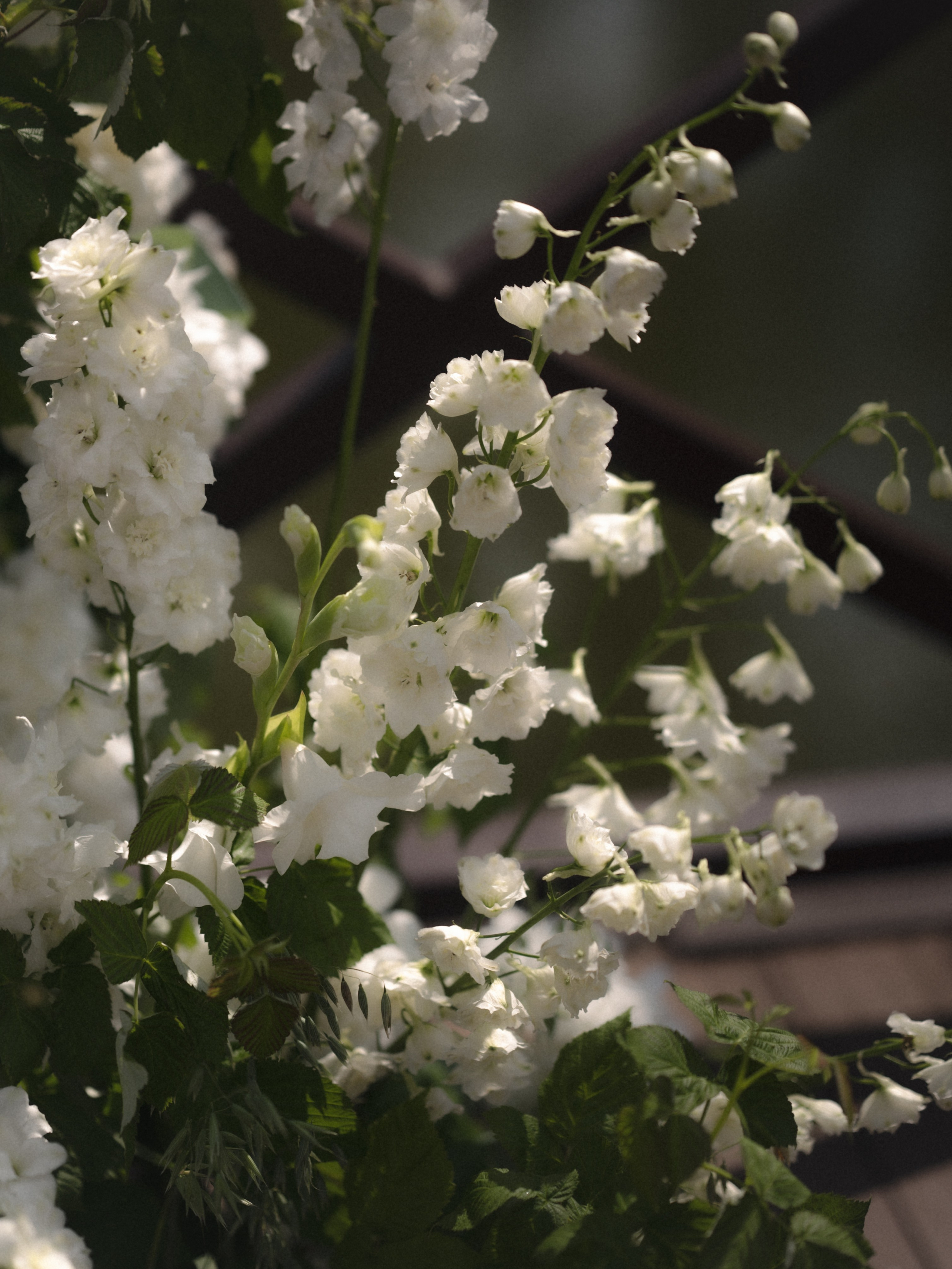 Мария и Никита. Бунгало в Москве.Аренда Бунгало в Мск