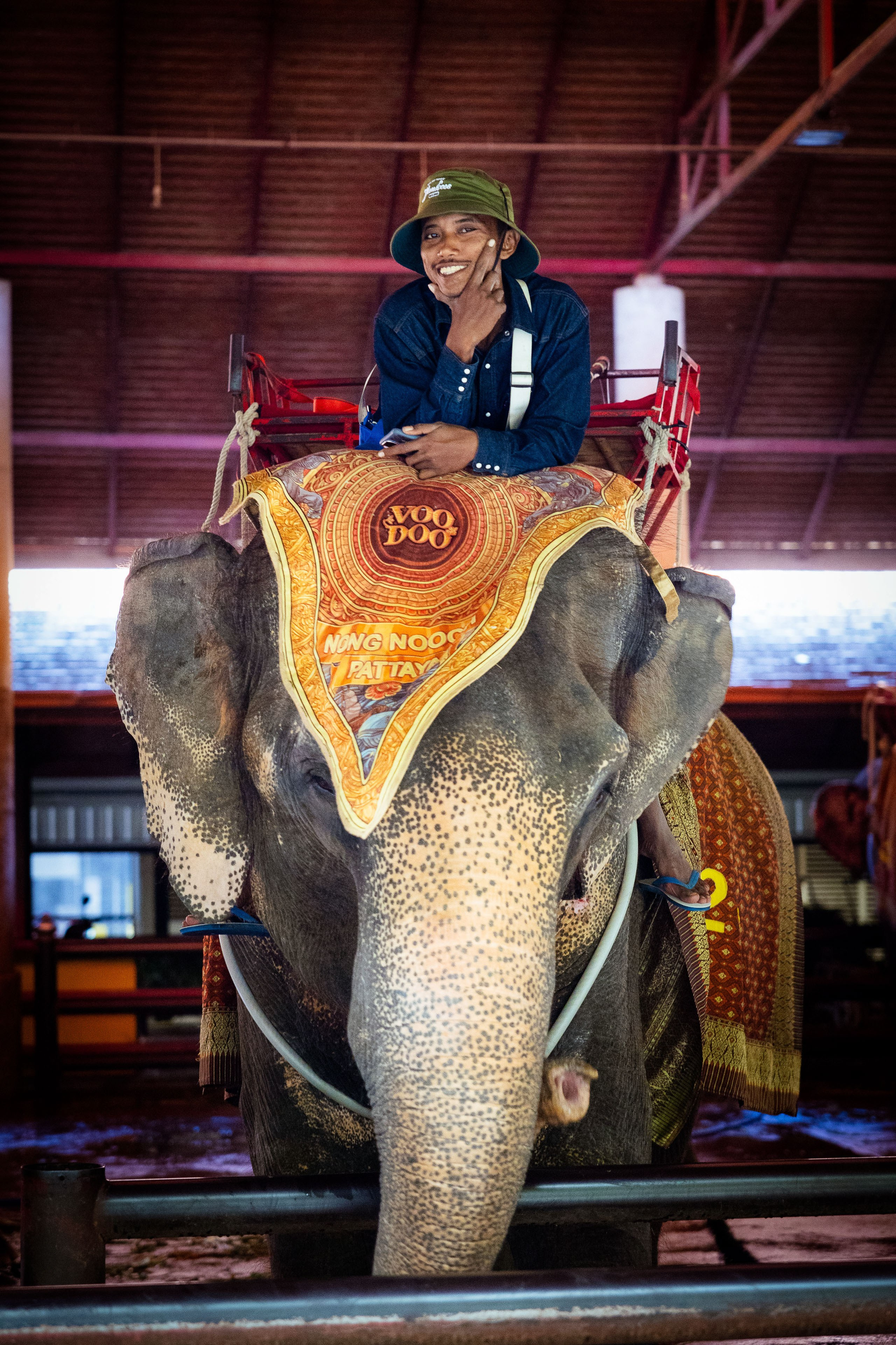 Таиланд (зима 2025). Фотограф Виноградов Константин