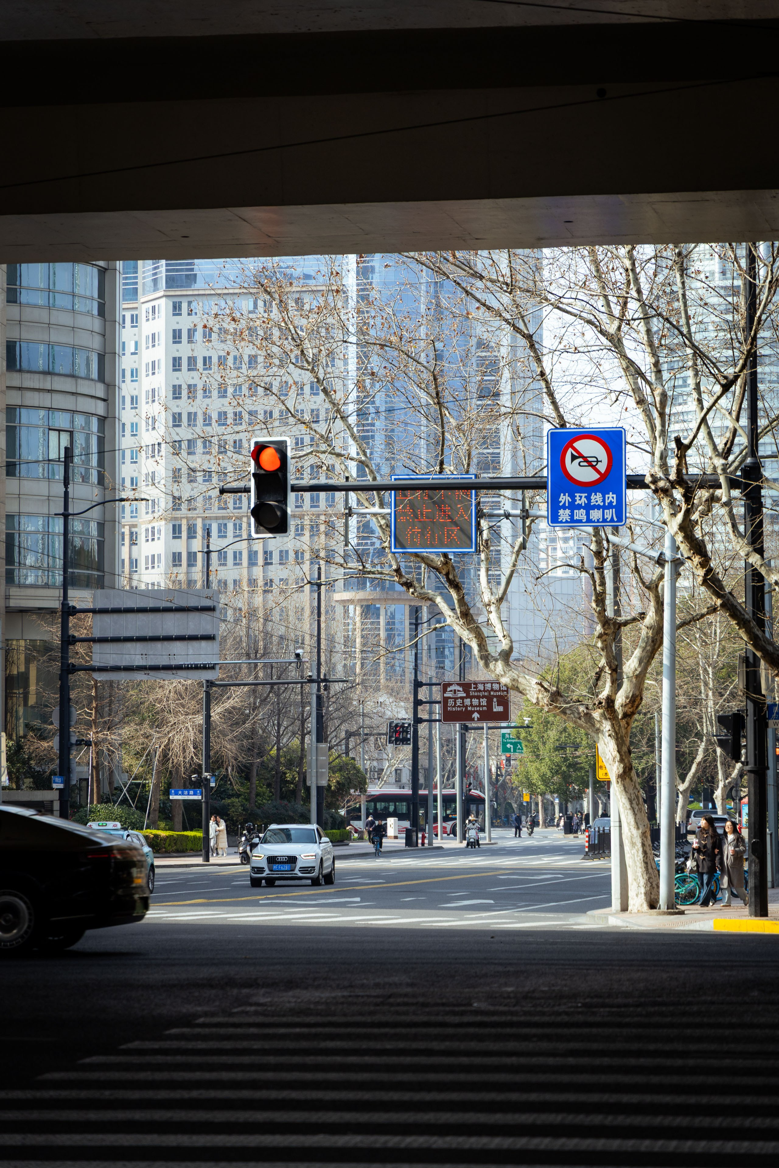 Шанхай (март 2026). Фотограф Виноградов Константин