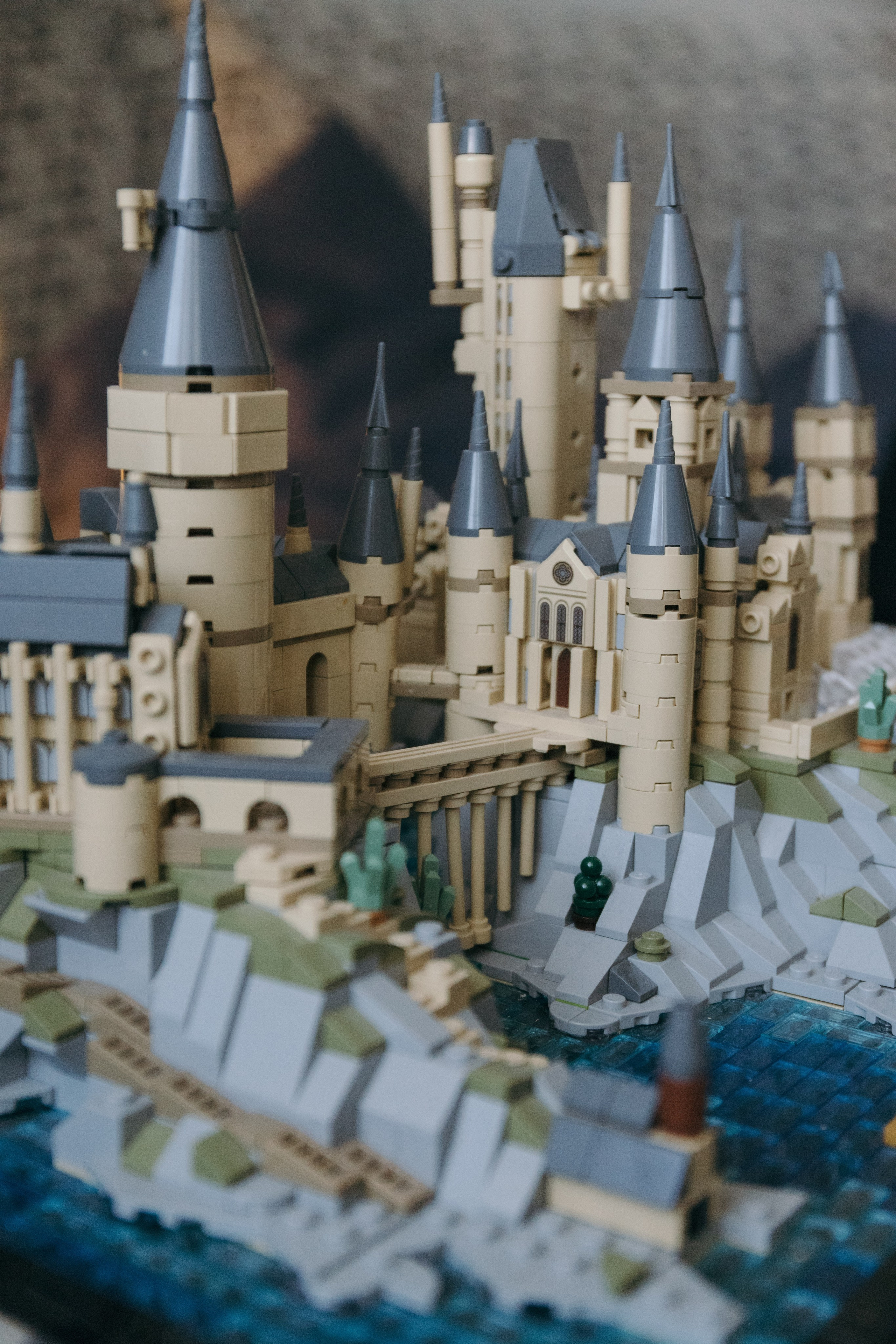 Семья и кошки. Фотограф Елена Балакина (Челябинск)