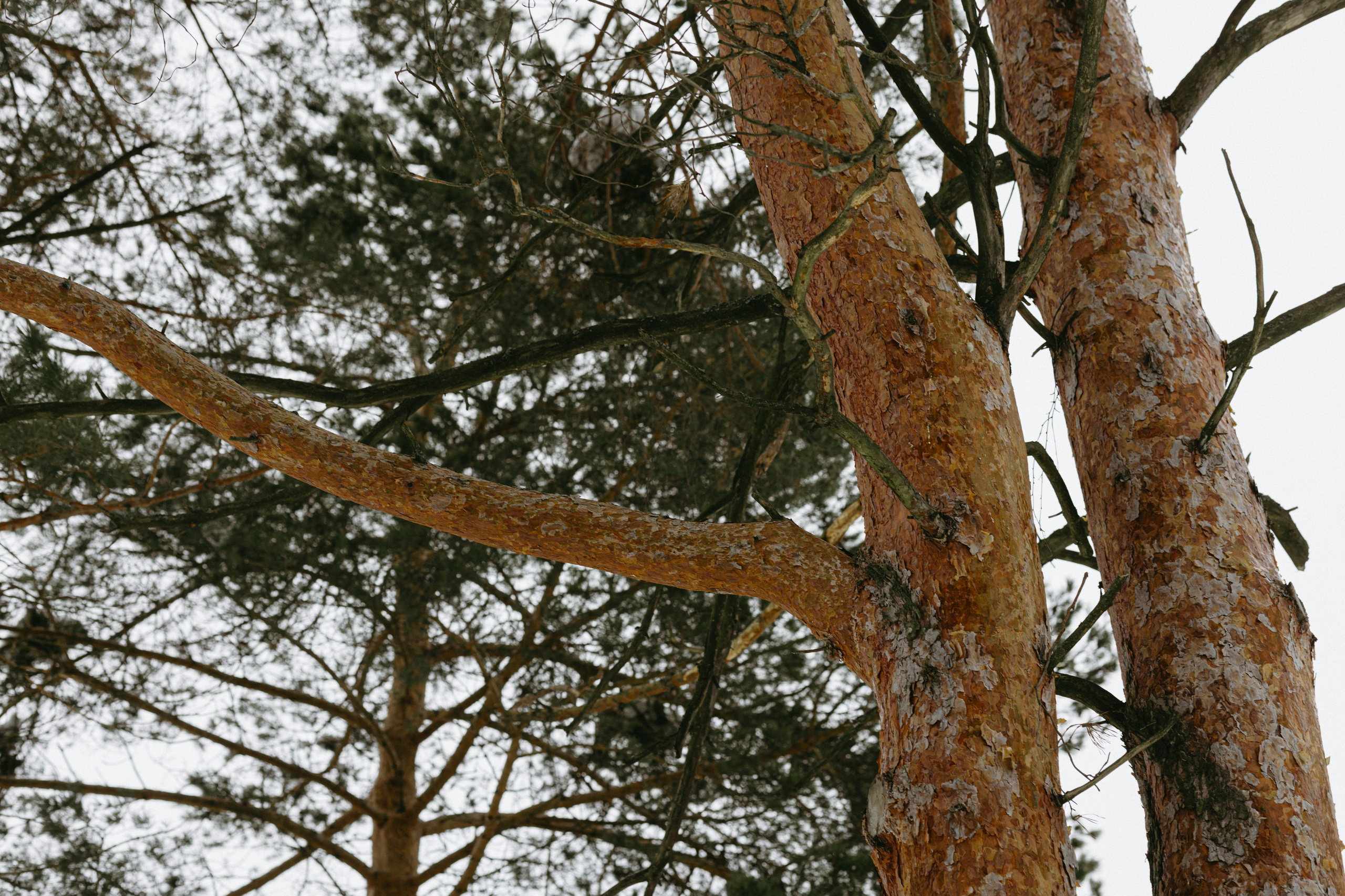 Изготовление куклы к Масленице. Про любовь