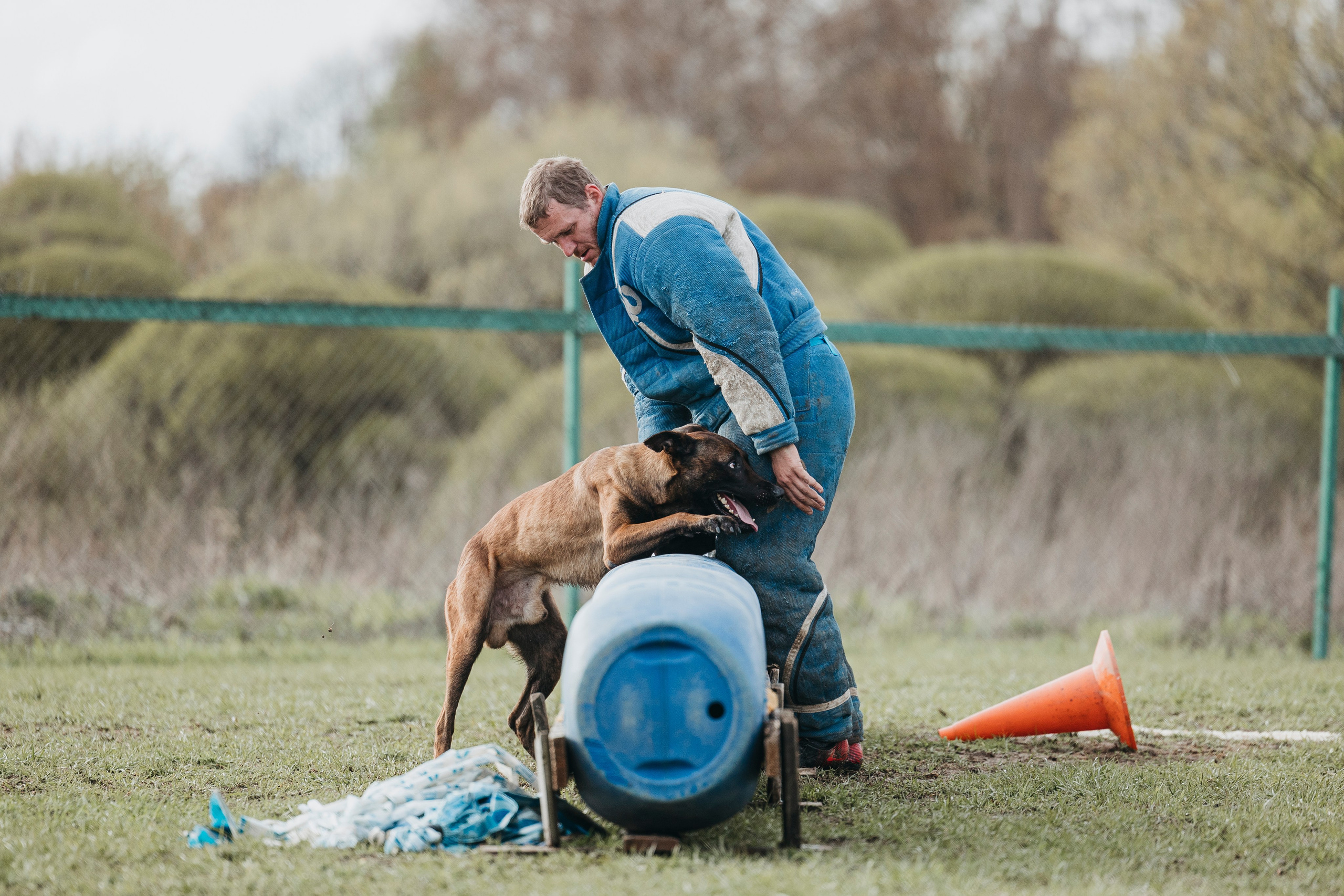 09.05.25 Вологда соревнования. Фотограф-анималист Анна Маринич