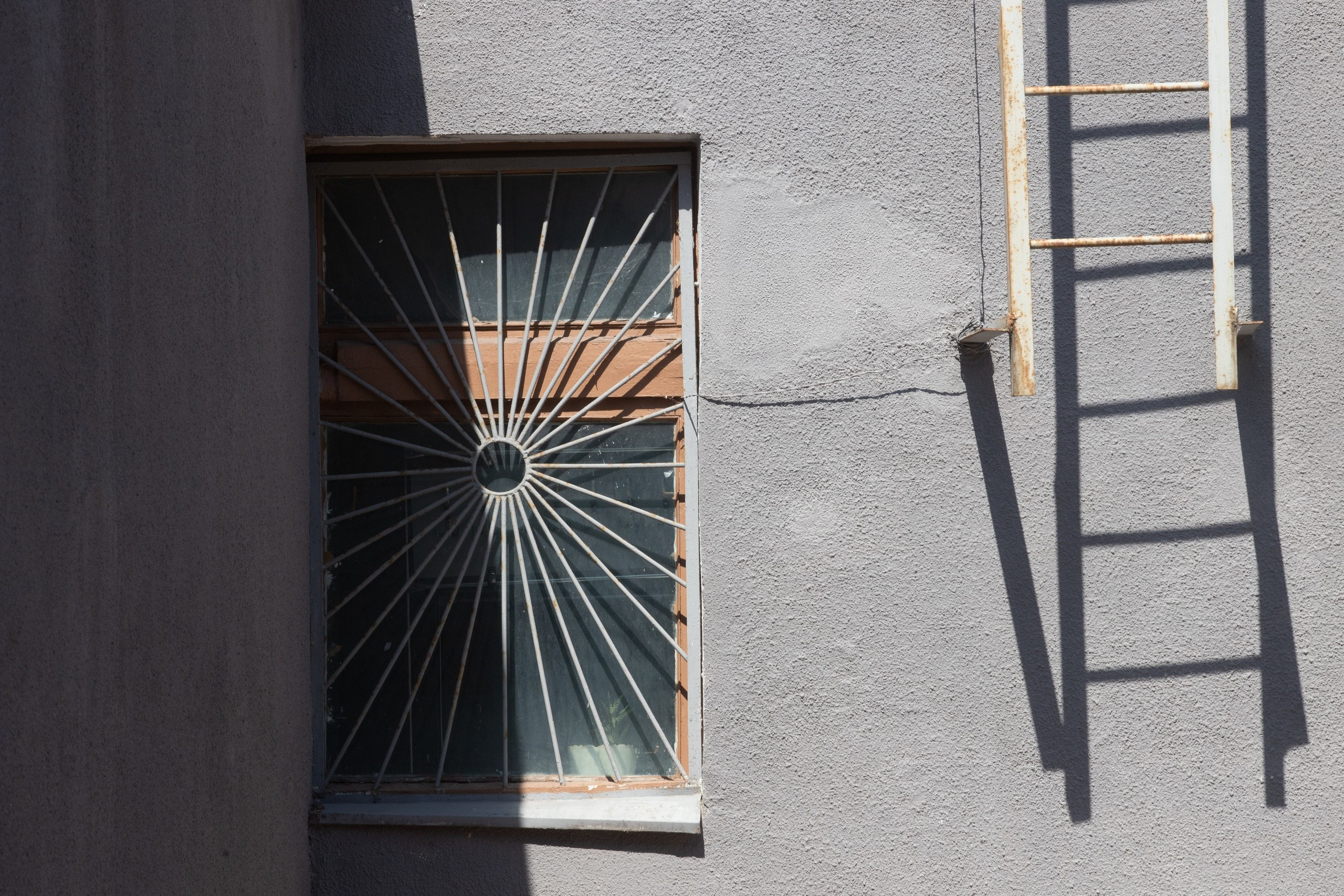 Метафизика. Репортажный фотограф Алексей Пирязев