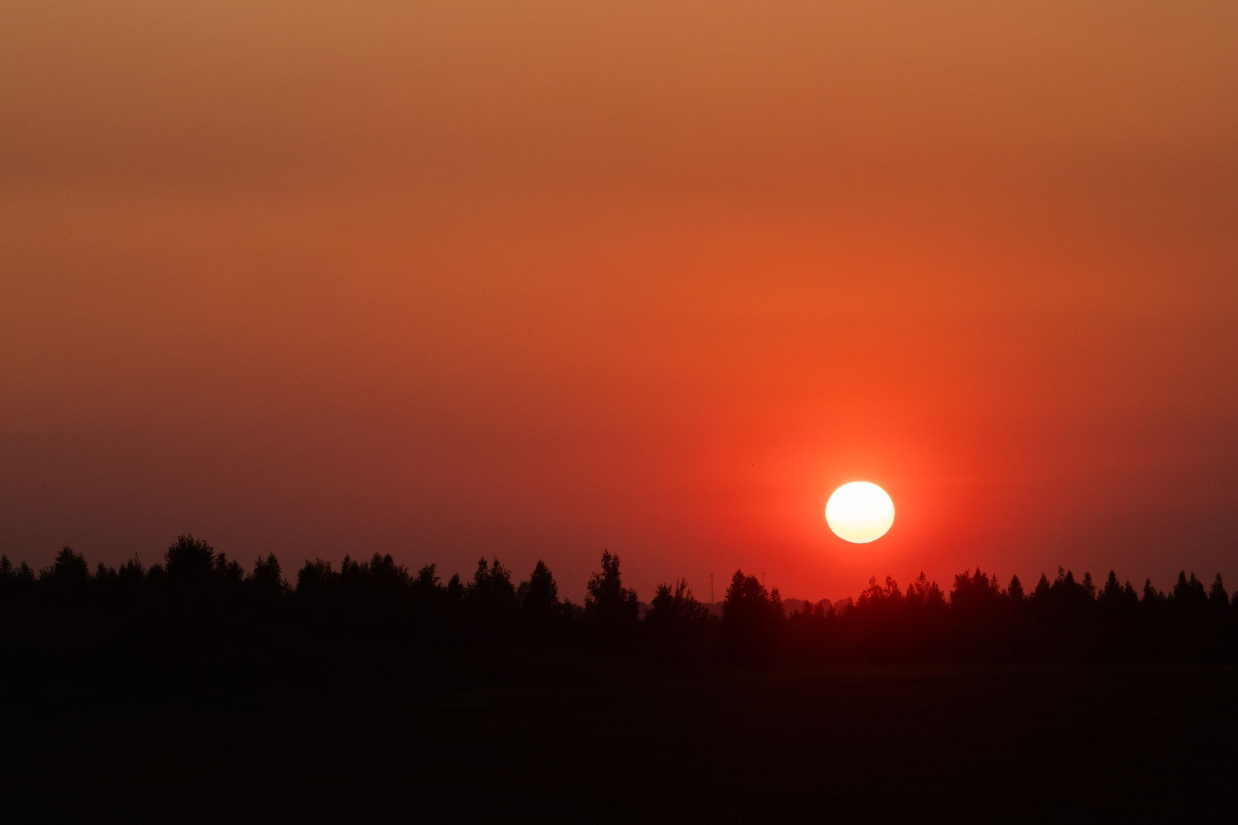 Кондуки (10 июля 2021). Репортажный фотограф Алексей Пирязев