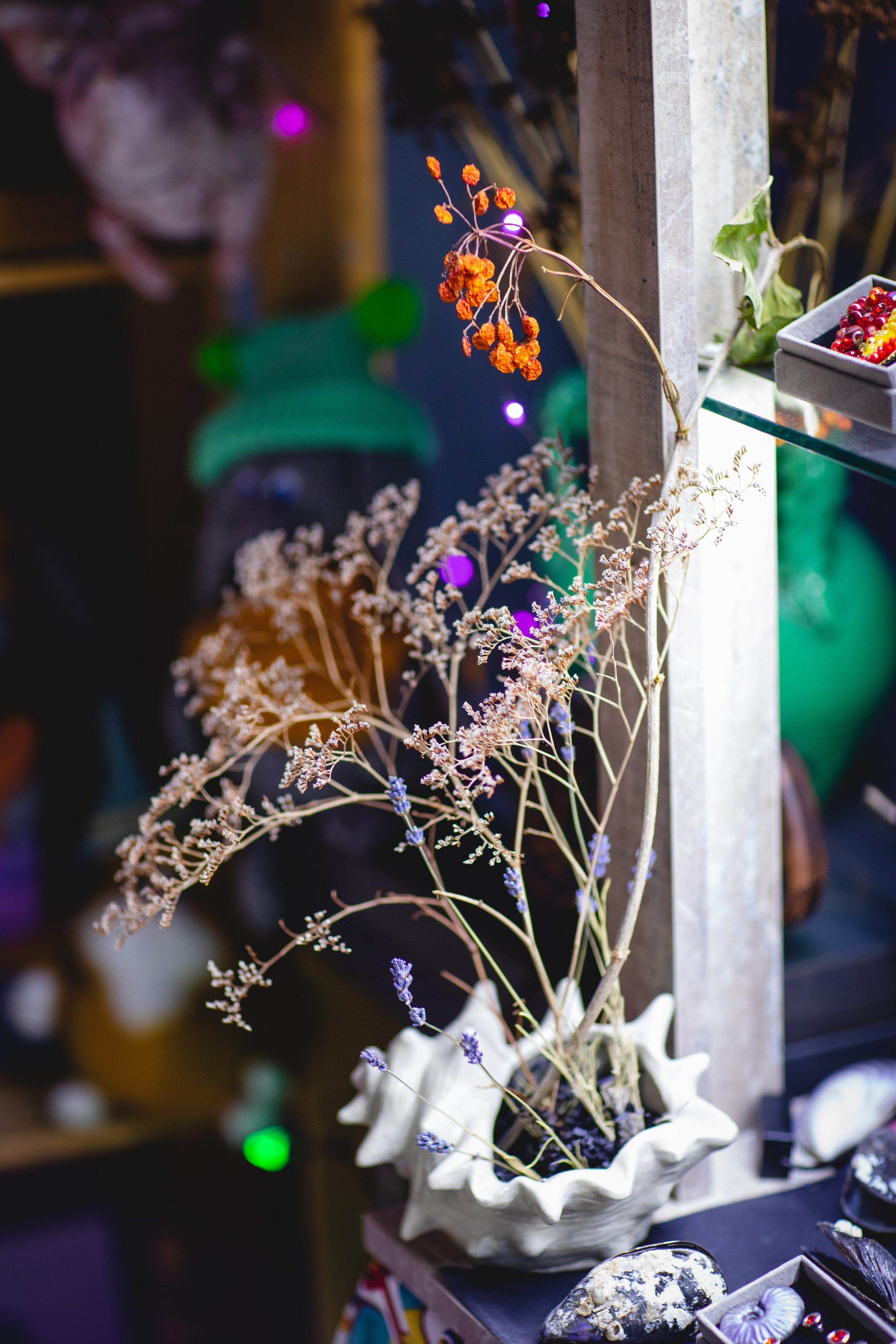 МАРТ-лавка красивых вещей). Семейный фотограф в Москве Анастасия Гурьянова