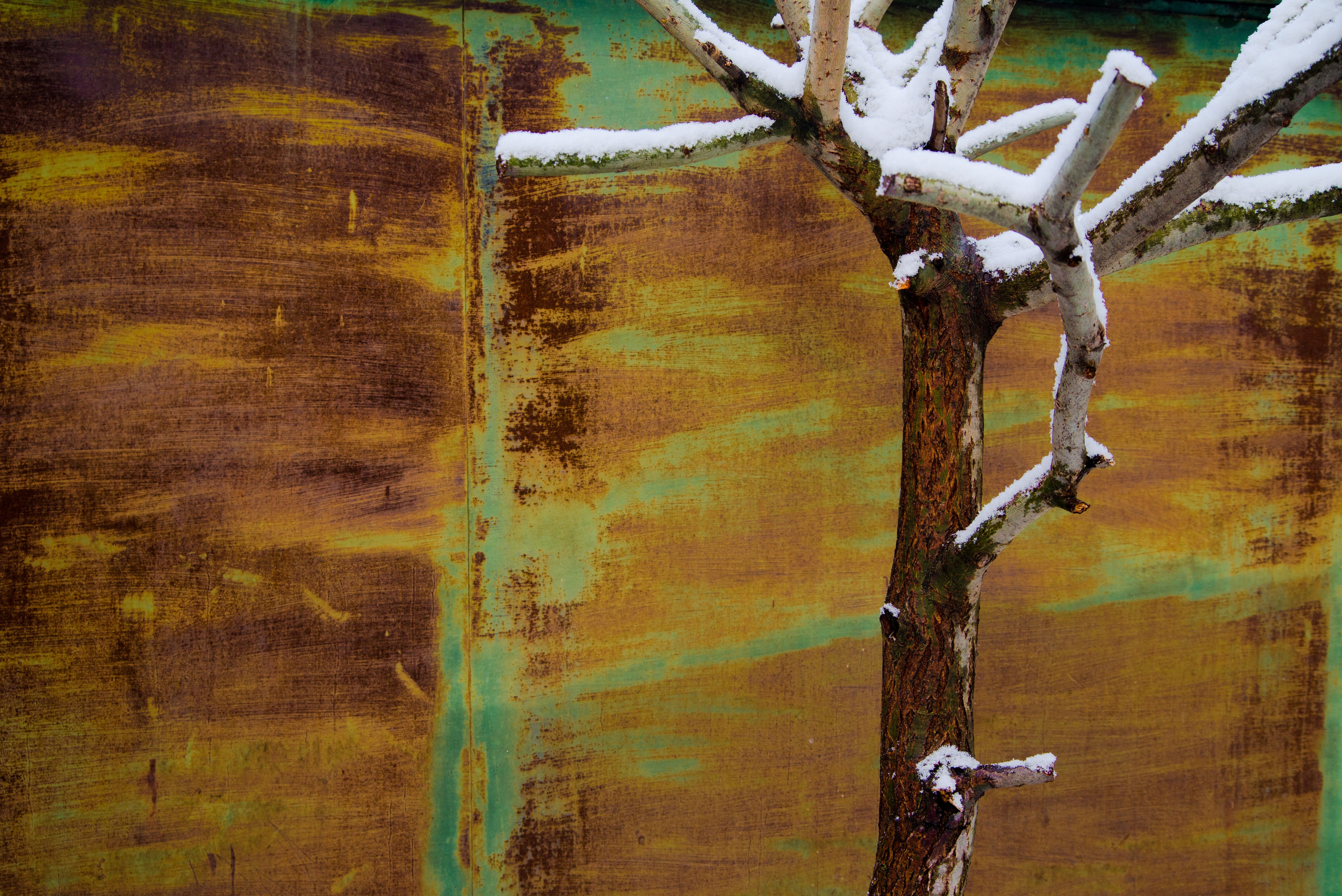 Singles 2. Alyona Kochetkova | Photographer and photography educator