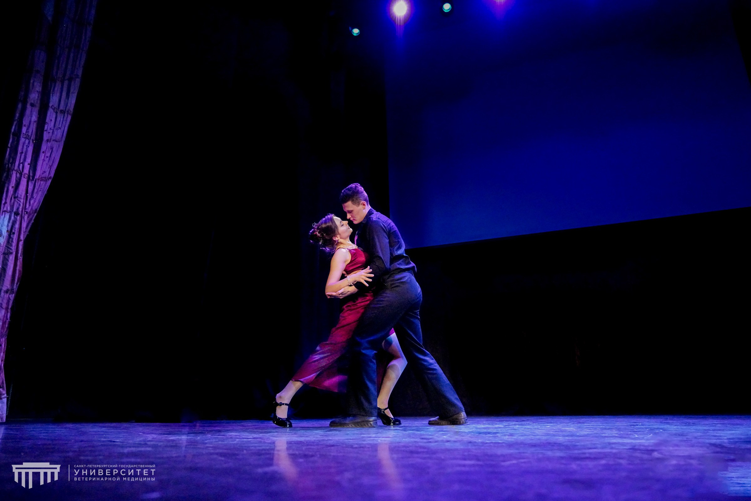 Концертный. Никита Соловьев | Фотограф в Санкт-Петербурге