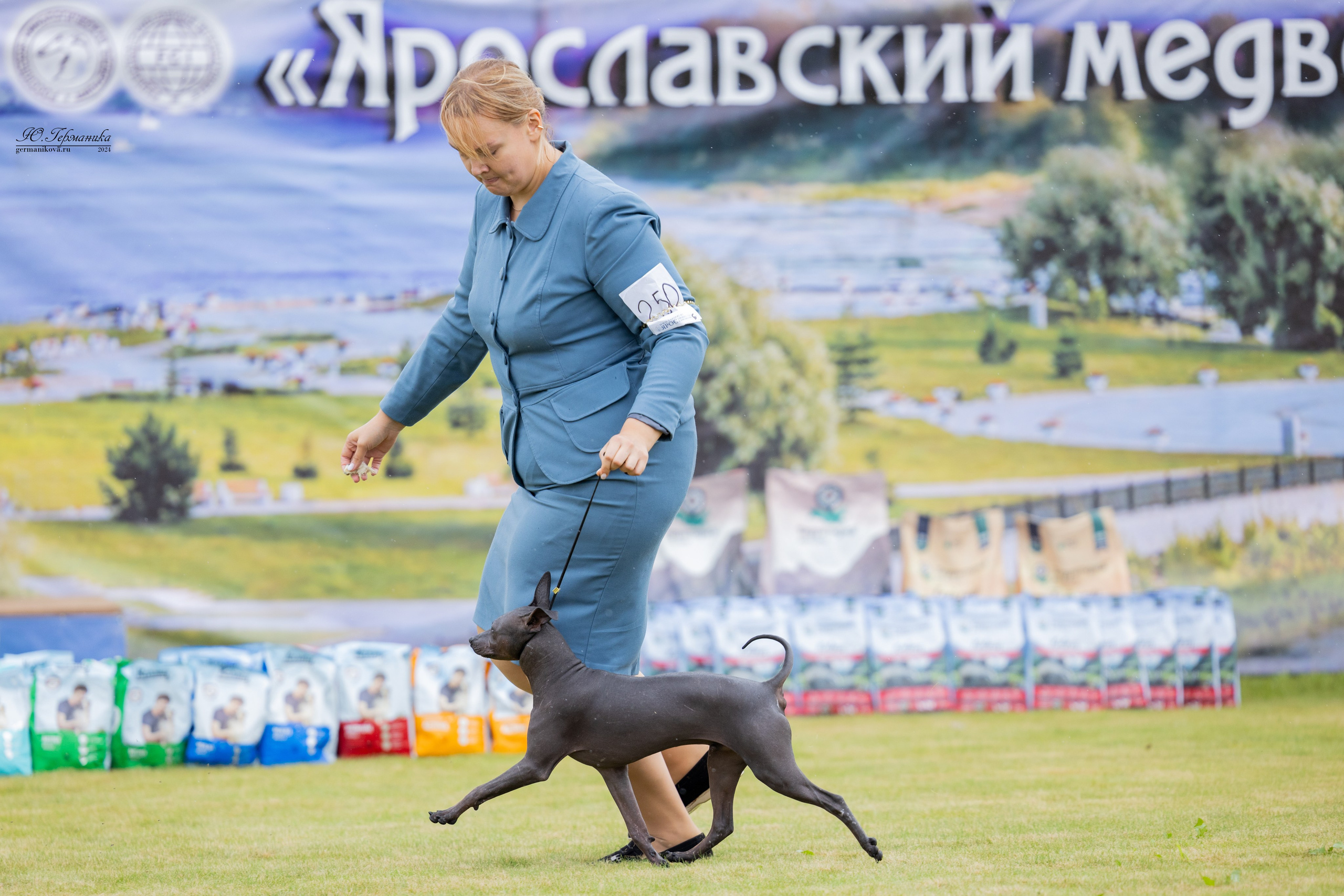 Ярославль 21.07.24 и Балашиха 13.07.24. Фотограф-анималист Юлия Германика
