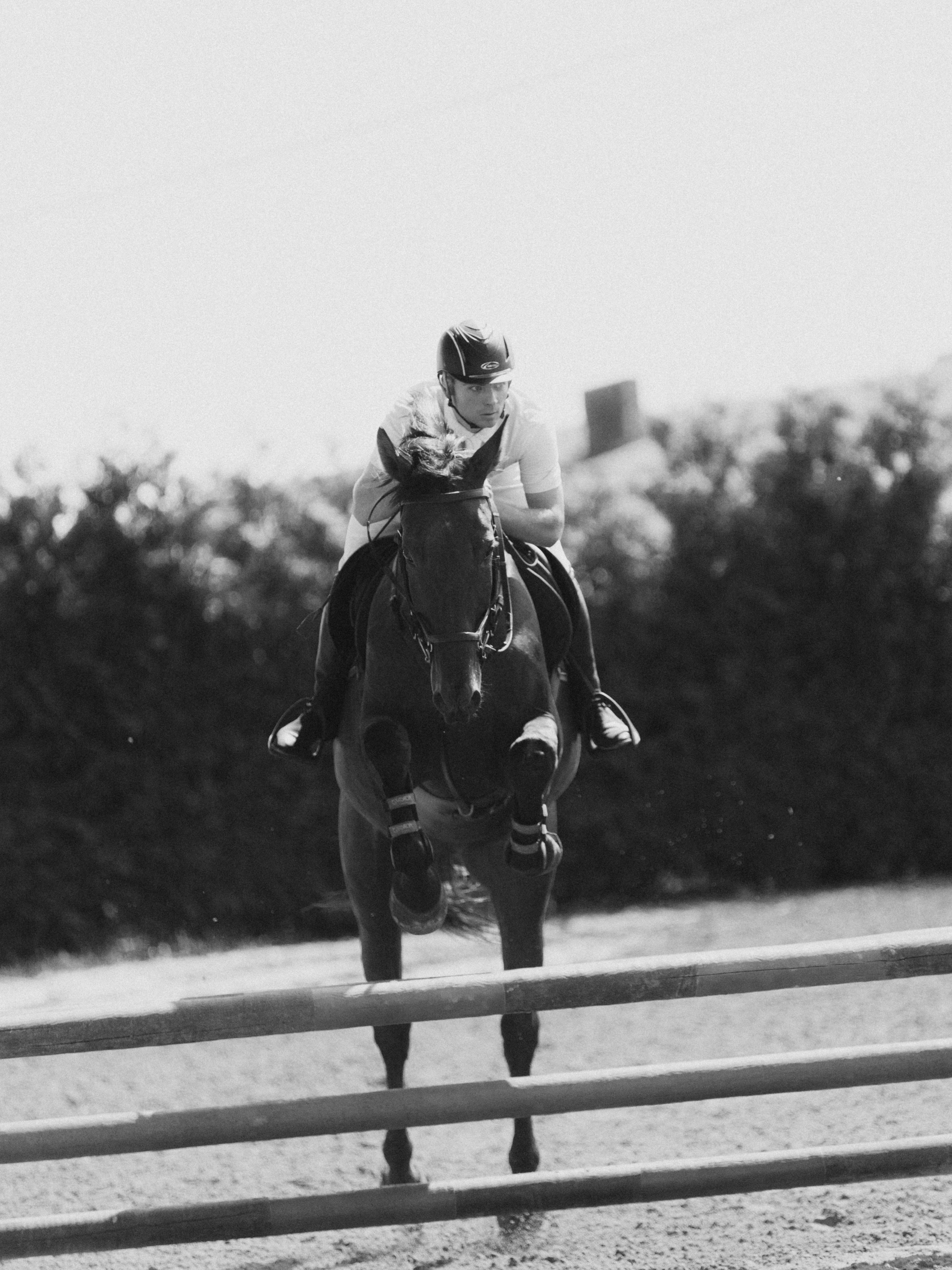 Спортивные фото/видео съёмки (конкур, выездка). Конный фотограф в Калининграде Елена Курбатова