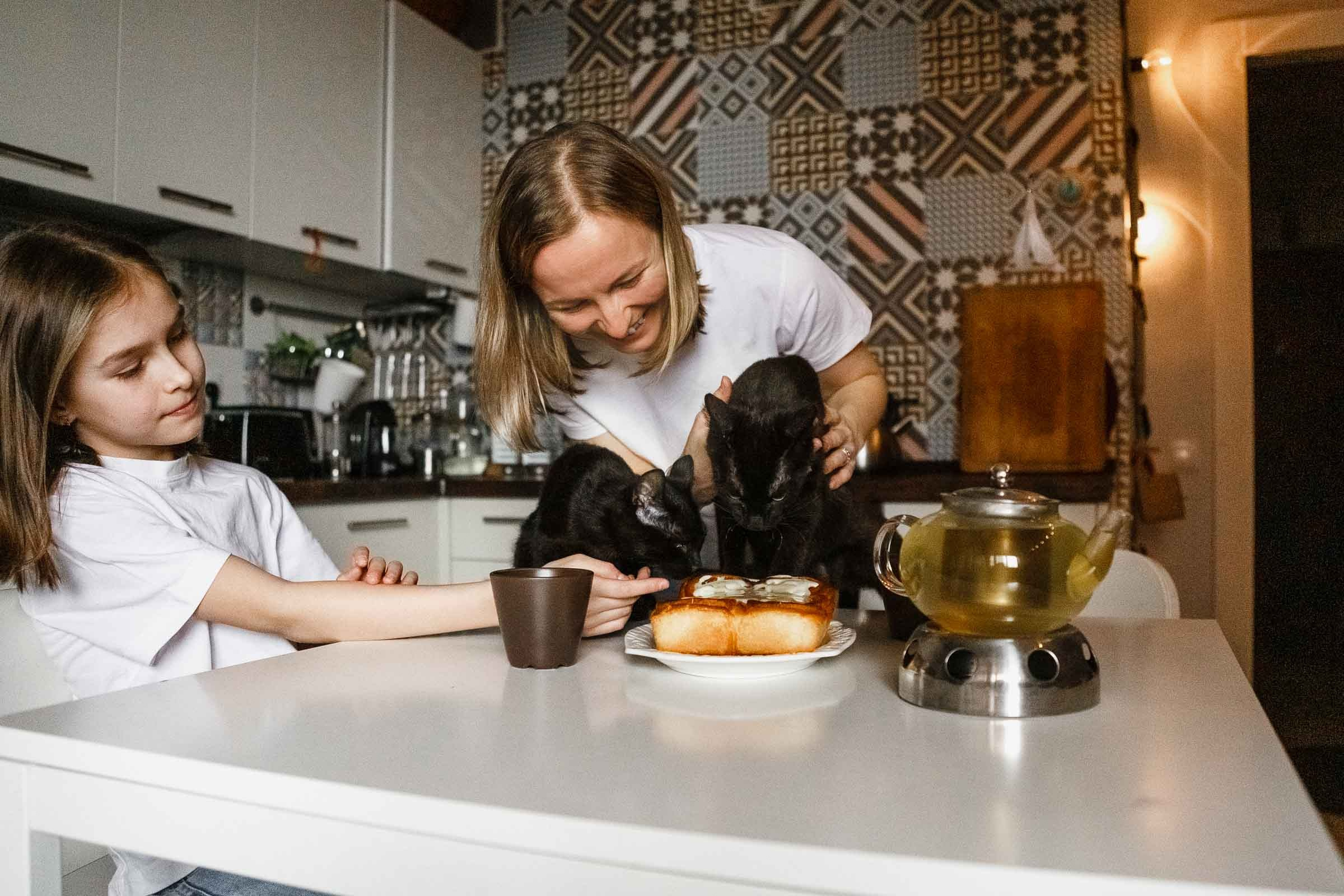Аня, Соня, Марс и Венера🐱. Семейный и портретный фотограф в Санкт-Петербурге