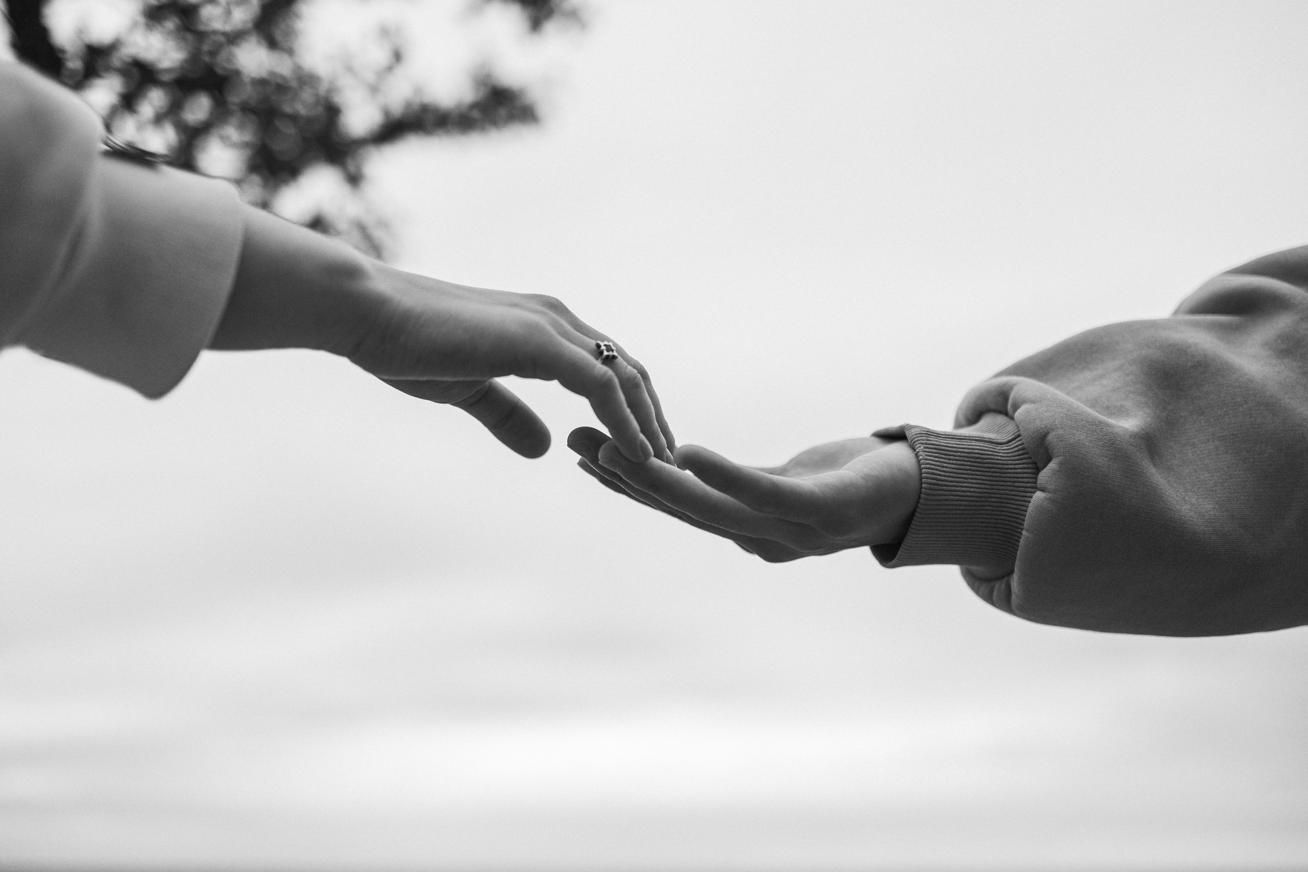 Фоси и его семьи. Фотограф — Анималист | Санкт-Петербург