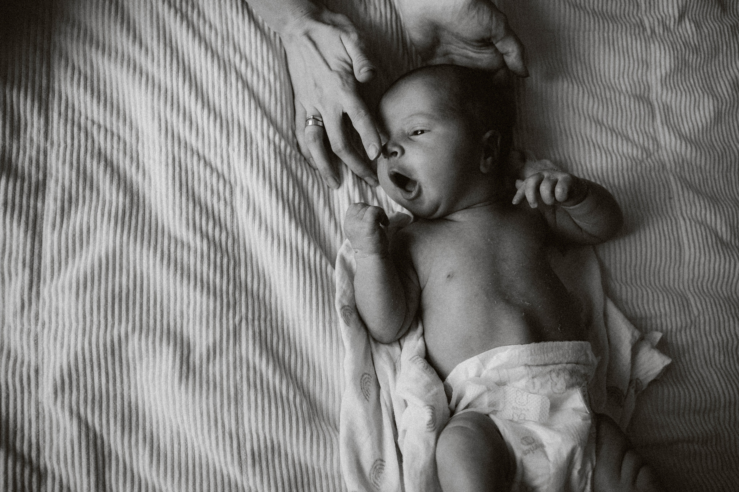 Новорожденные. Фотограф новорожденных и беременых в санкт-петербурге Юля Лампа