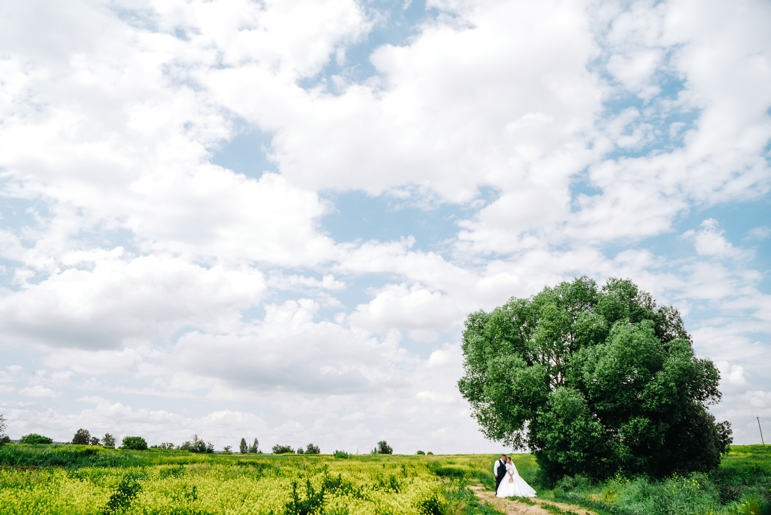 Владимир и Марина. Свадебный фотограф в Самаре Анна Ковалева