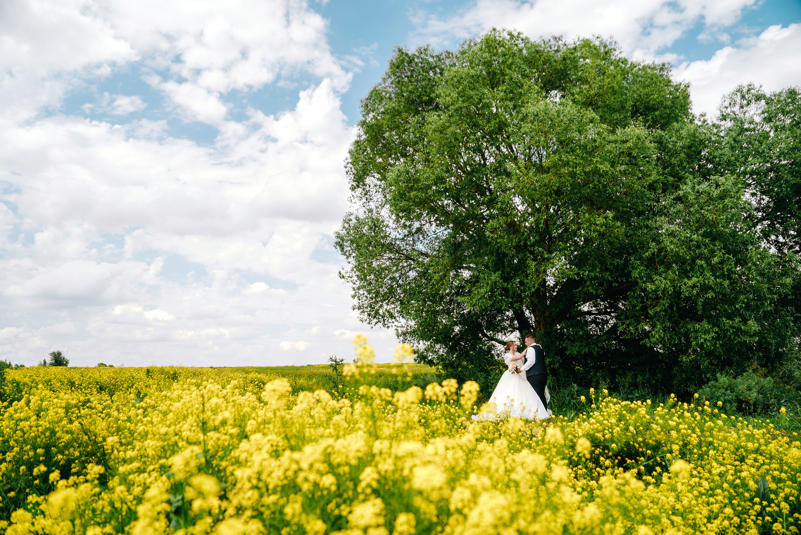Владимир и Марина. Свадебный фотограф в Самаре Анна Ковалева