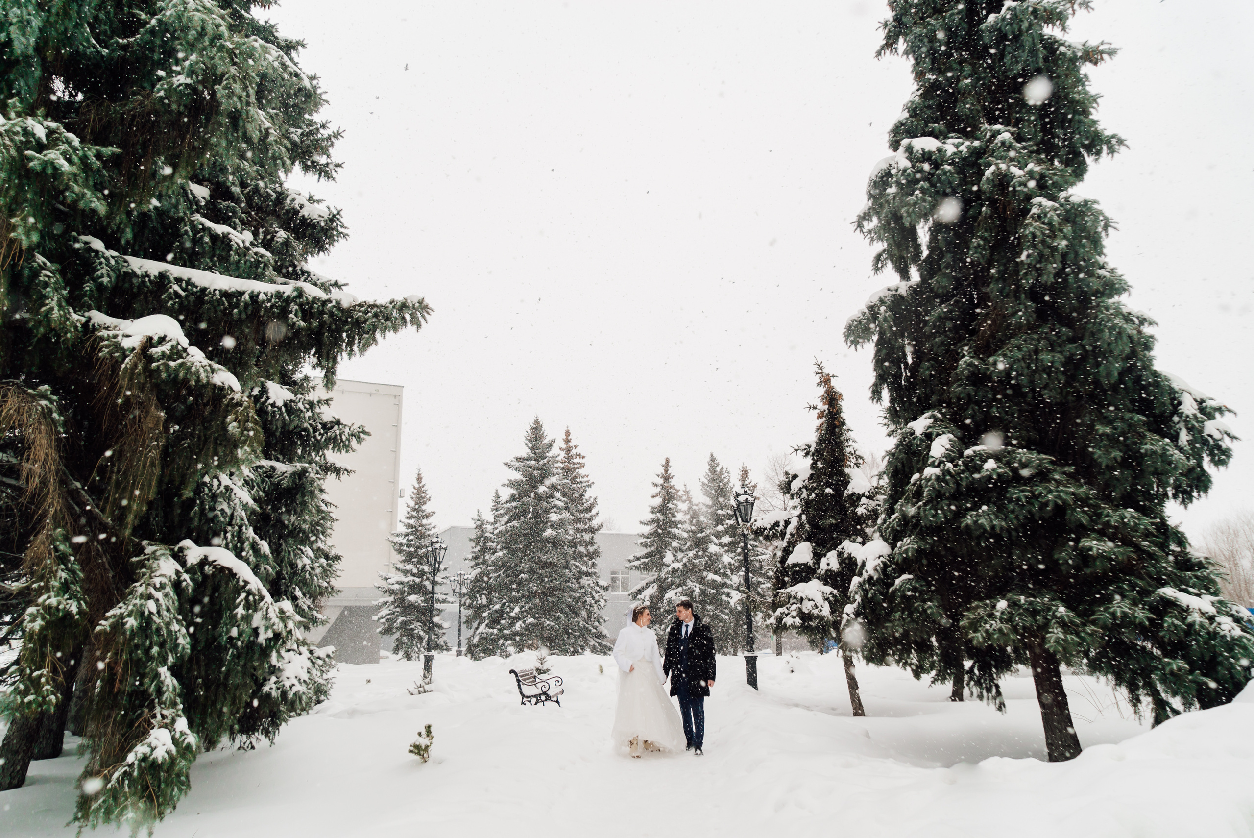 Александр и Дарья. Свадебный фотограф в Самаре Анна Ковалева