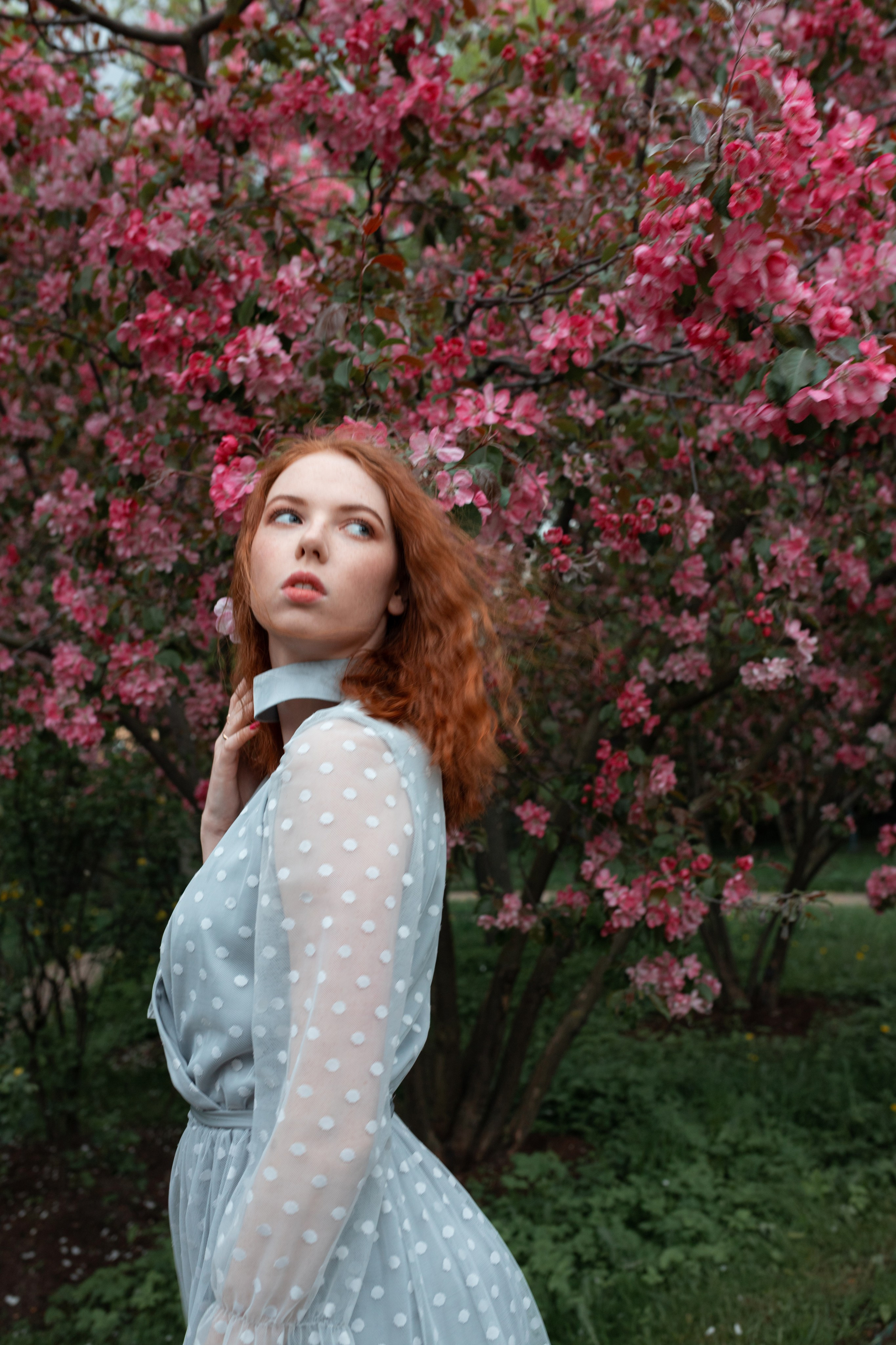 Аля в цветущем саду. Фотографии в Санкт-Петербурге и не только. Александр Колдин